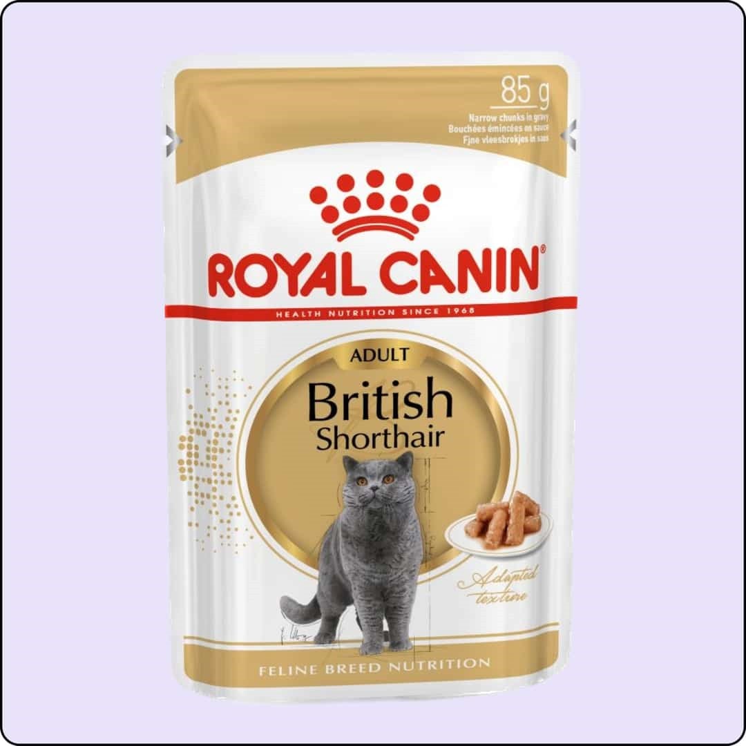 Royal Canin British Shorthair Yetişkin Kedi Konservesi 85 gr 12'li