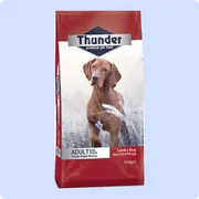 Thunder