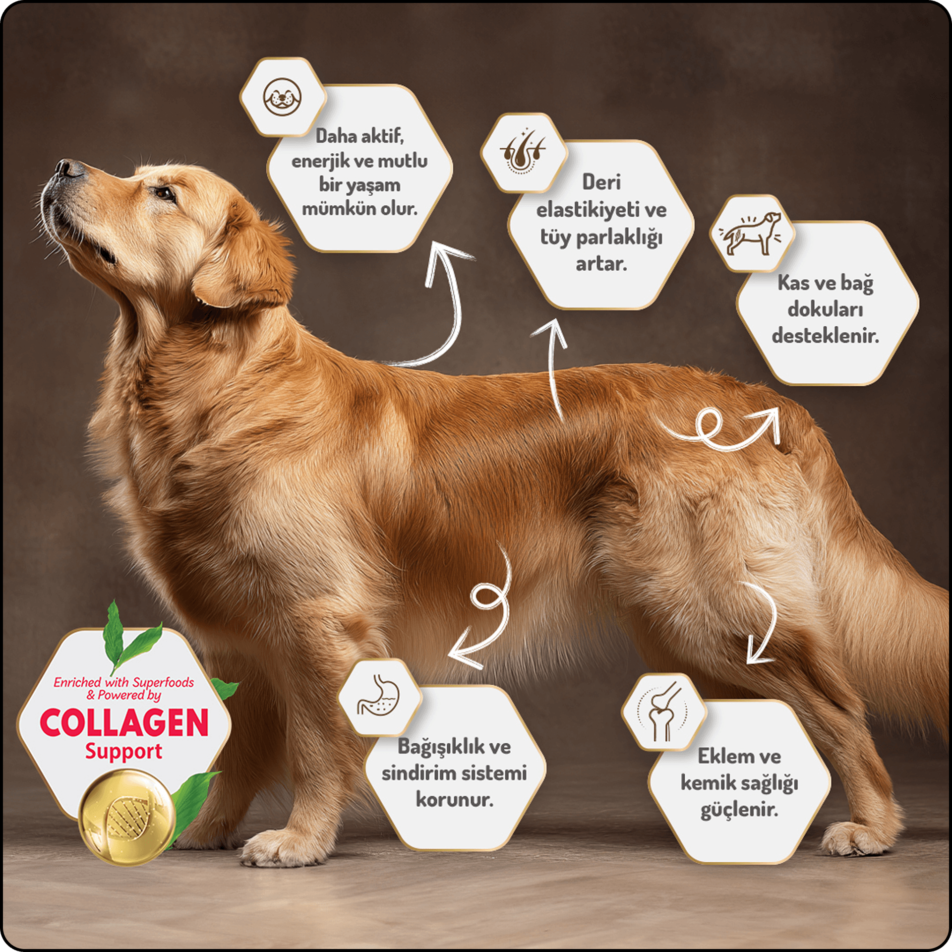 Felicia HypoAllergenic Orta ve Büyük Irk Kuzulu Düşük Tahıllı Yetişkin Köpek Maması 15 kg