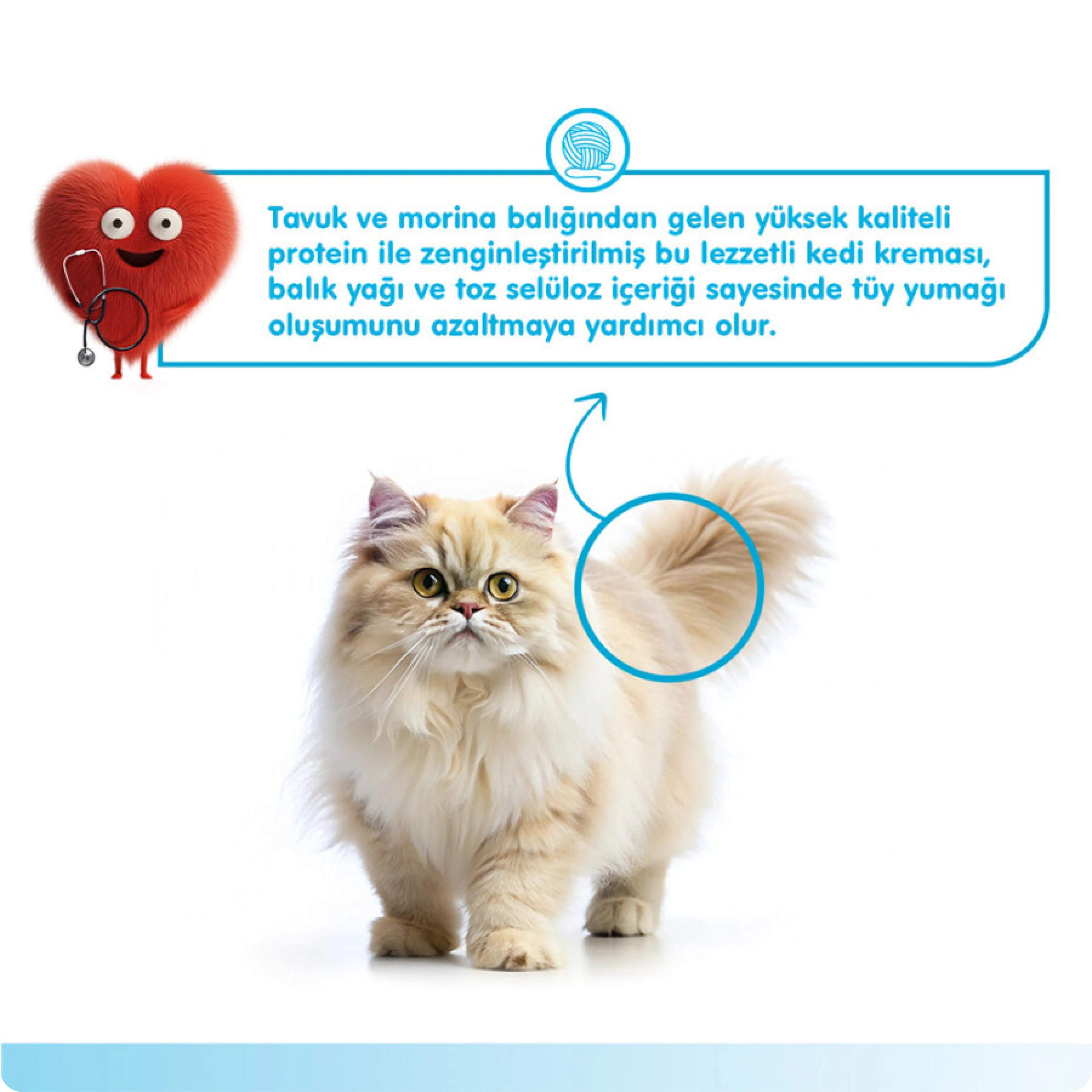 Wanpy Hairball Control Morinalı ve Tavuklu Tüy Yumağı Önleyici Krema Kedi Ödül Maması 14 gr (5'li)