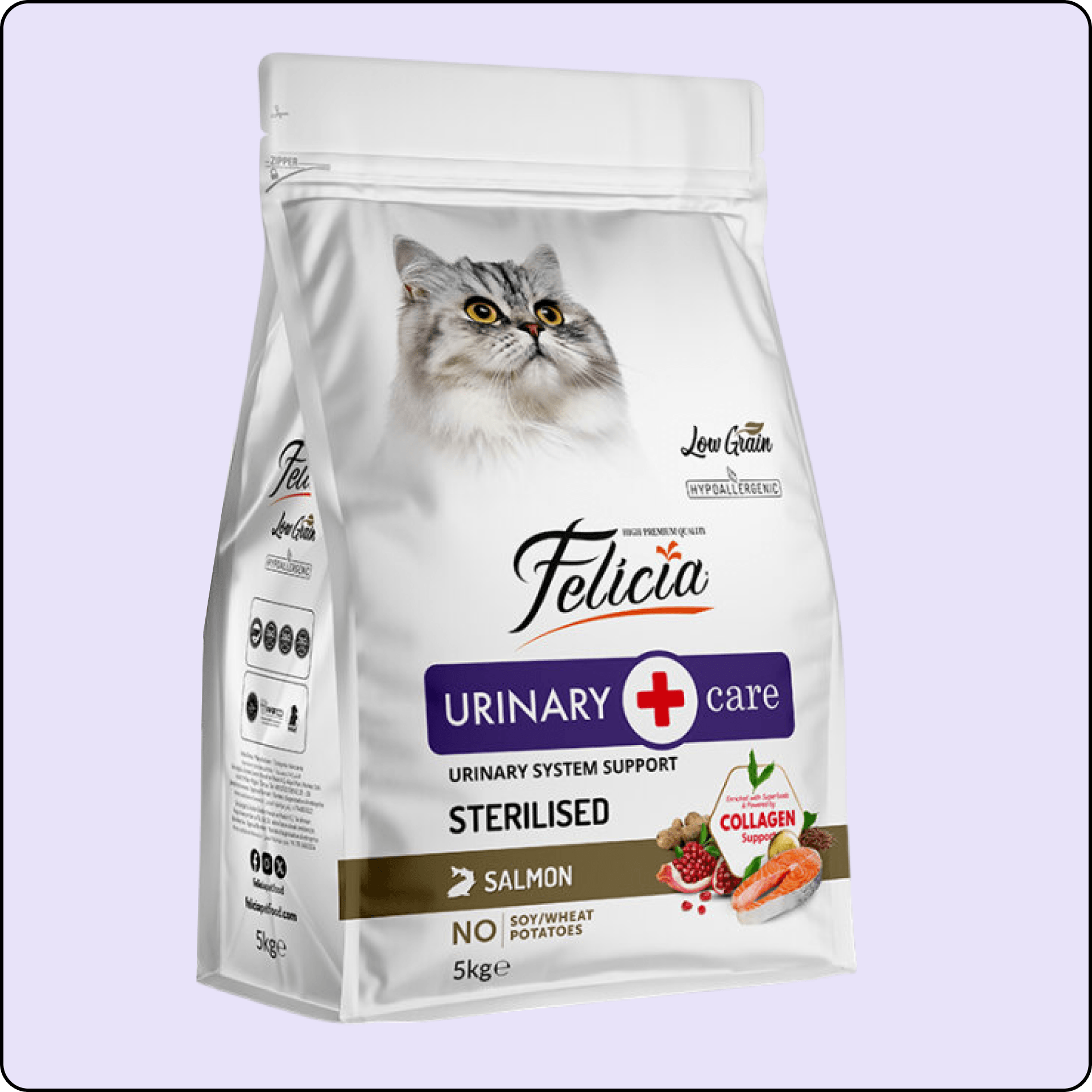 Felicia Hypo-Allergenic Üriner Sağlığı için Somonlu Düşük Tahıllı Kısırlaştırılmış Kedi Maması 5 kg