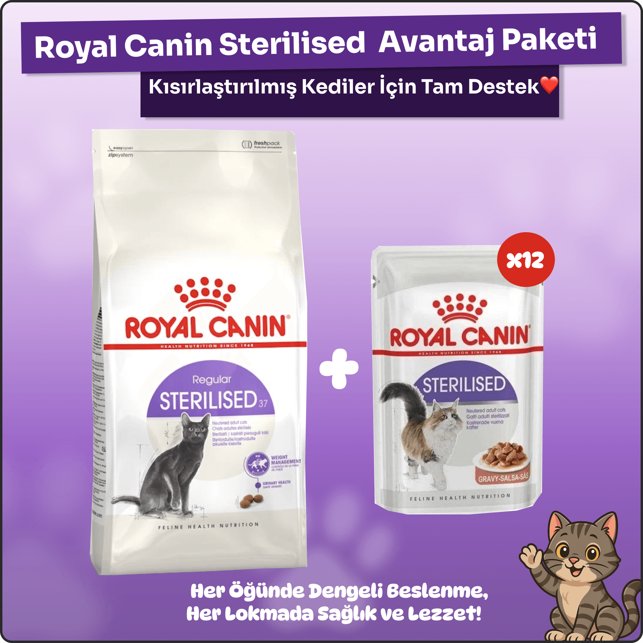 Royal Canin Kısır Kedi Avantaj Paketi – 4 Kg Kuru Mama + 85 gr 12'li Yaş Mama