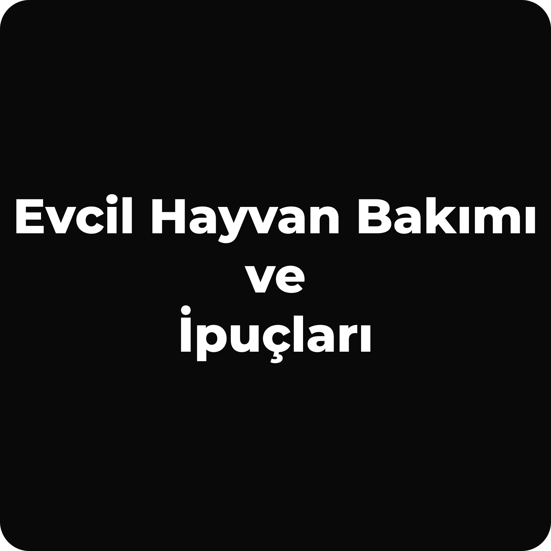 Evcil Hayvan Bakımı İpuçları