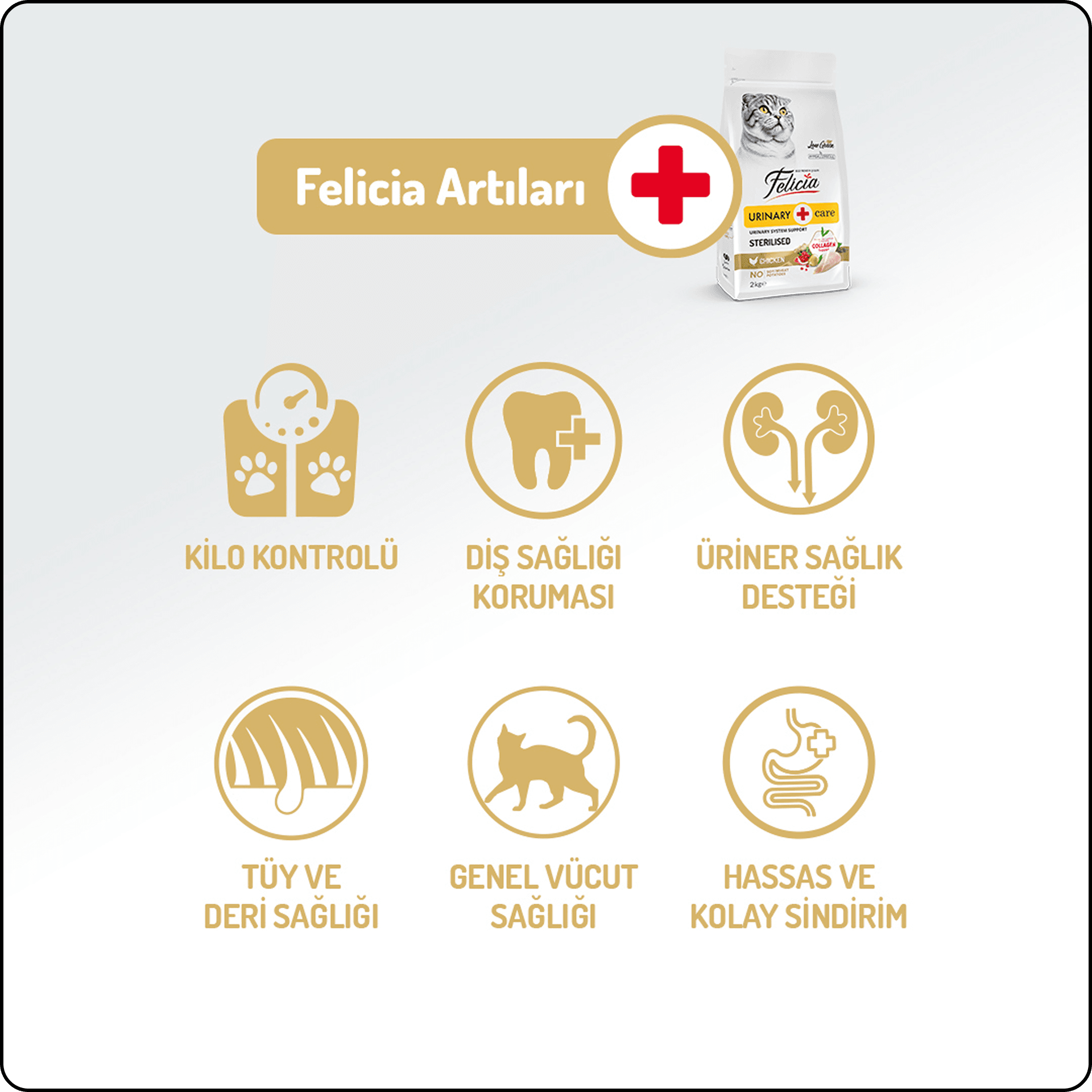 Felicia Hypo-Allergenic Üriner Sağlığı için Tavuklu Düşük Tahıllı Kısırlaştırılmış Kedi Maması 12 kg