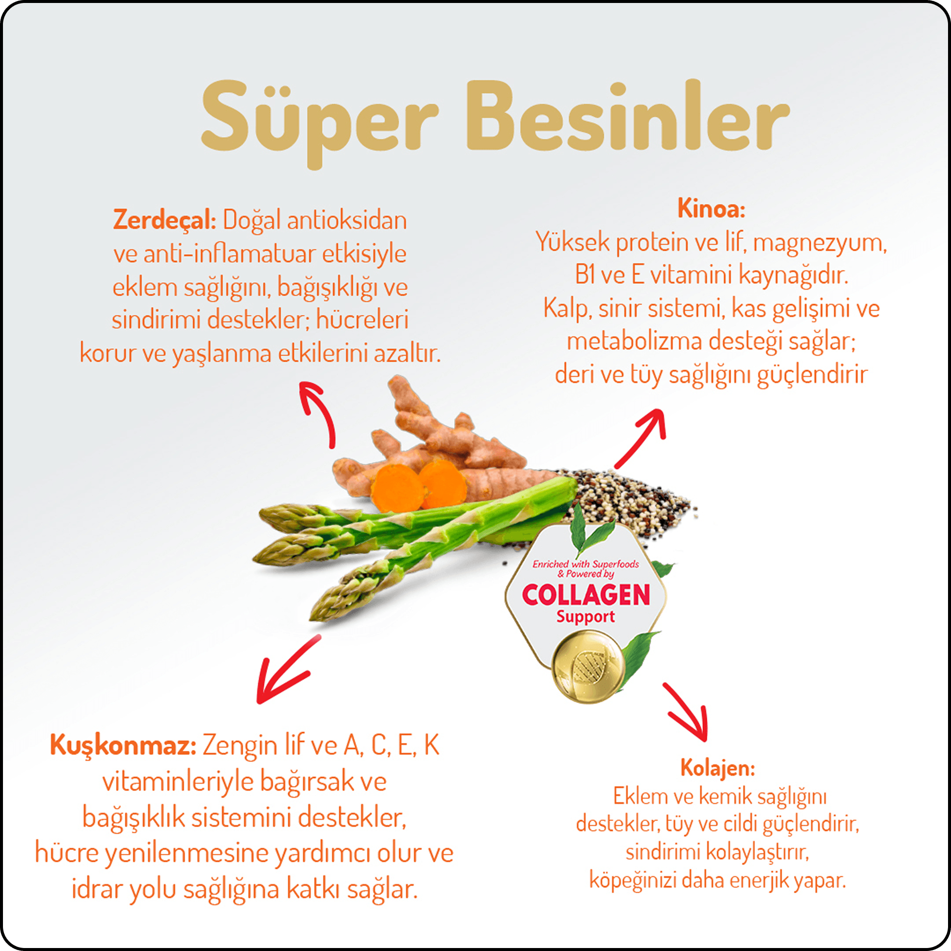 Felicia HypoAllergenic Orta ve Büyük Irk Kuzulu Düşük Tahıllı Yetişkin Köpek Maması 15 kg