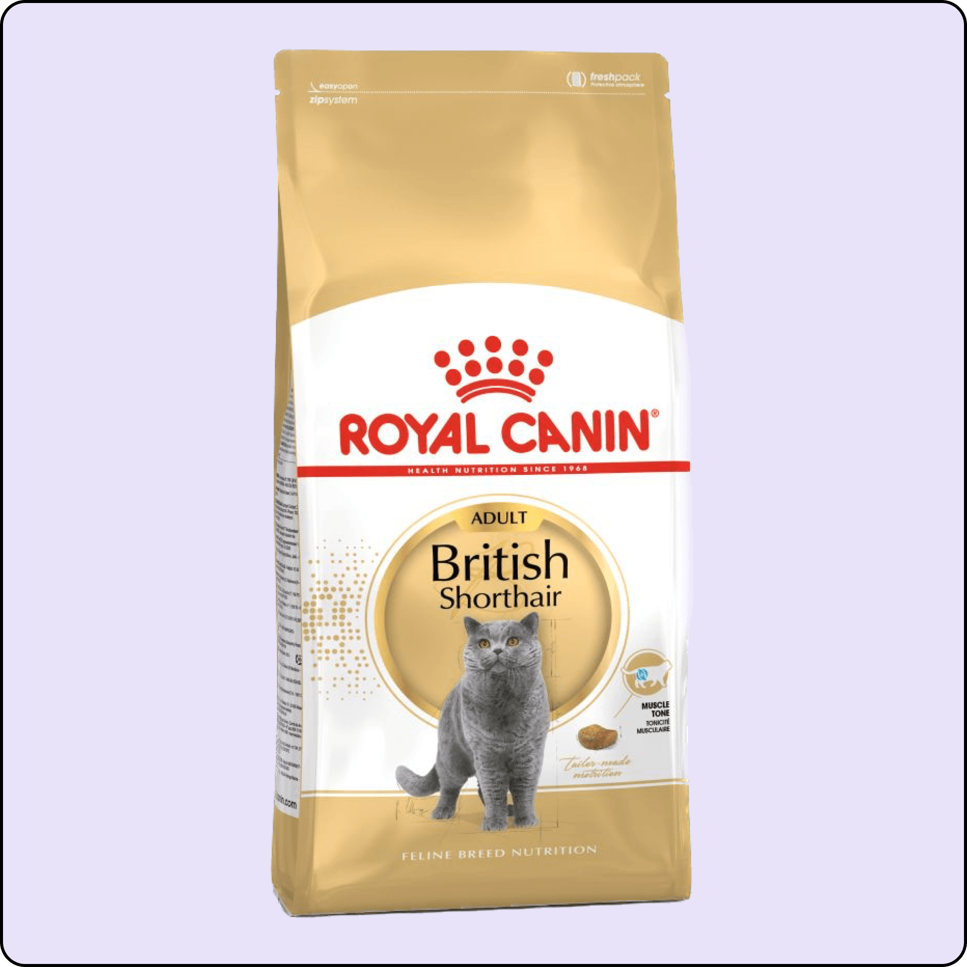 Royal Canin British Shorthair Yetişkin Kedi Maması 2 kg