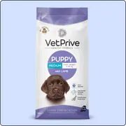Vet