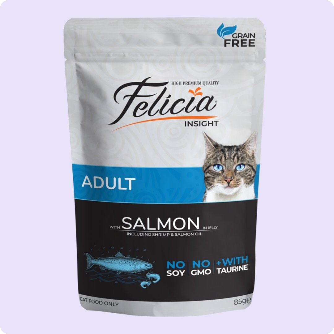 Felicia Jöle İçinde Somonlu Taurinli Tahılsız Yetişkin Kedi Konservesi 85 gr (12 Adet)