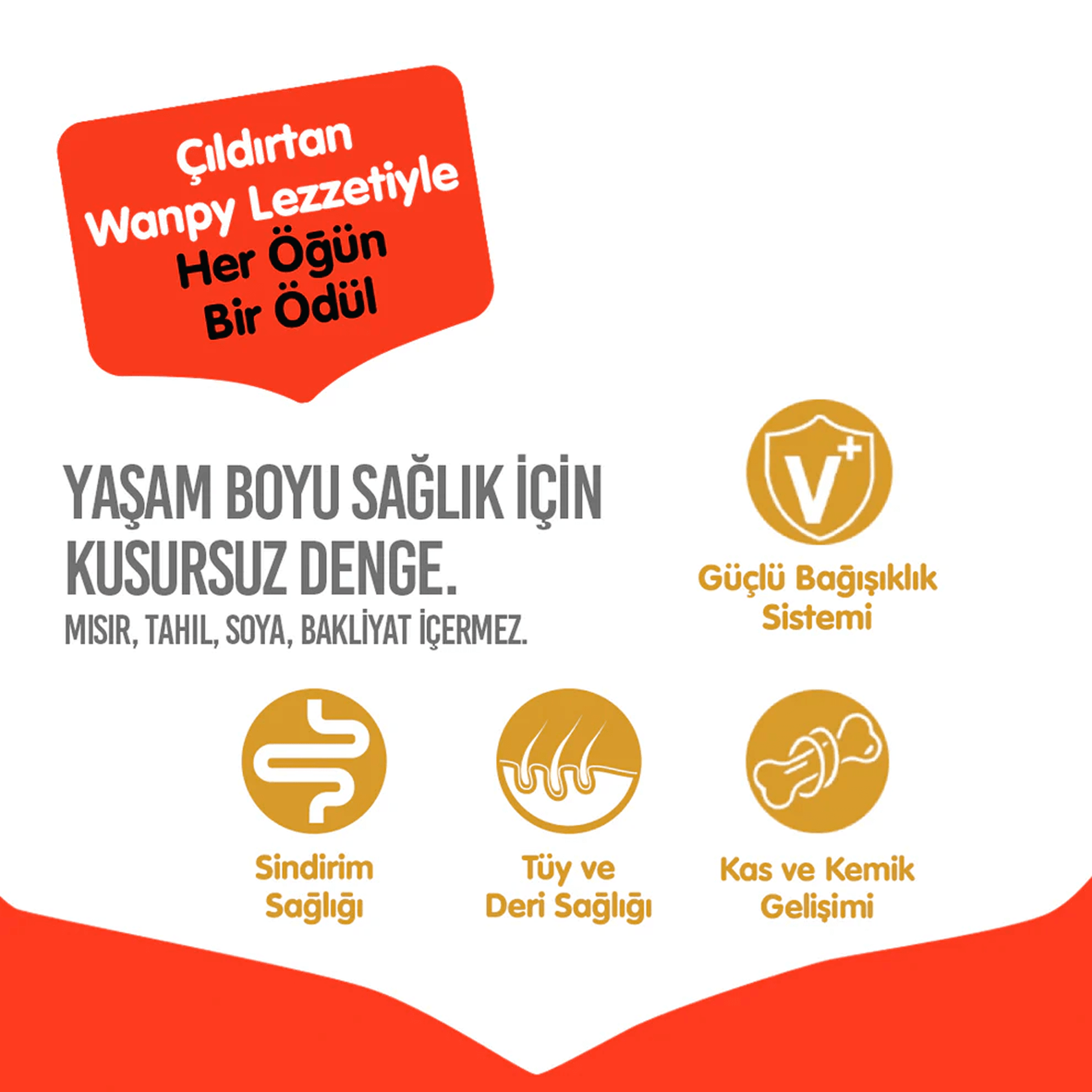 Wanpy Tavuklu Tahılsız Yetişkin Köpek Maması 1.5 kg
