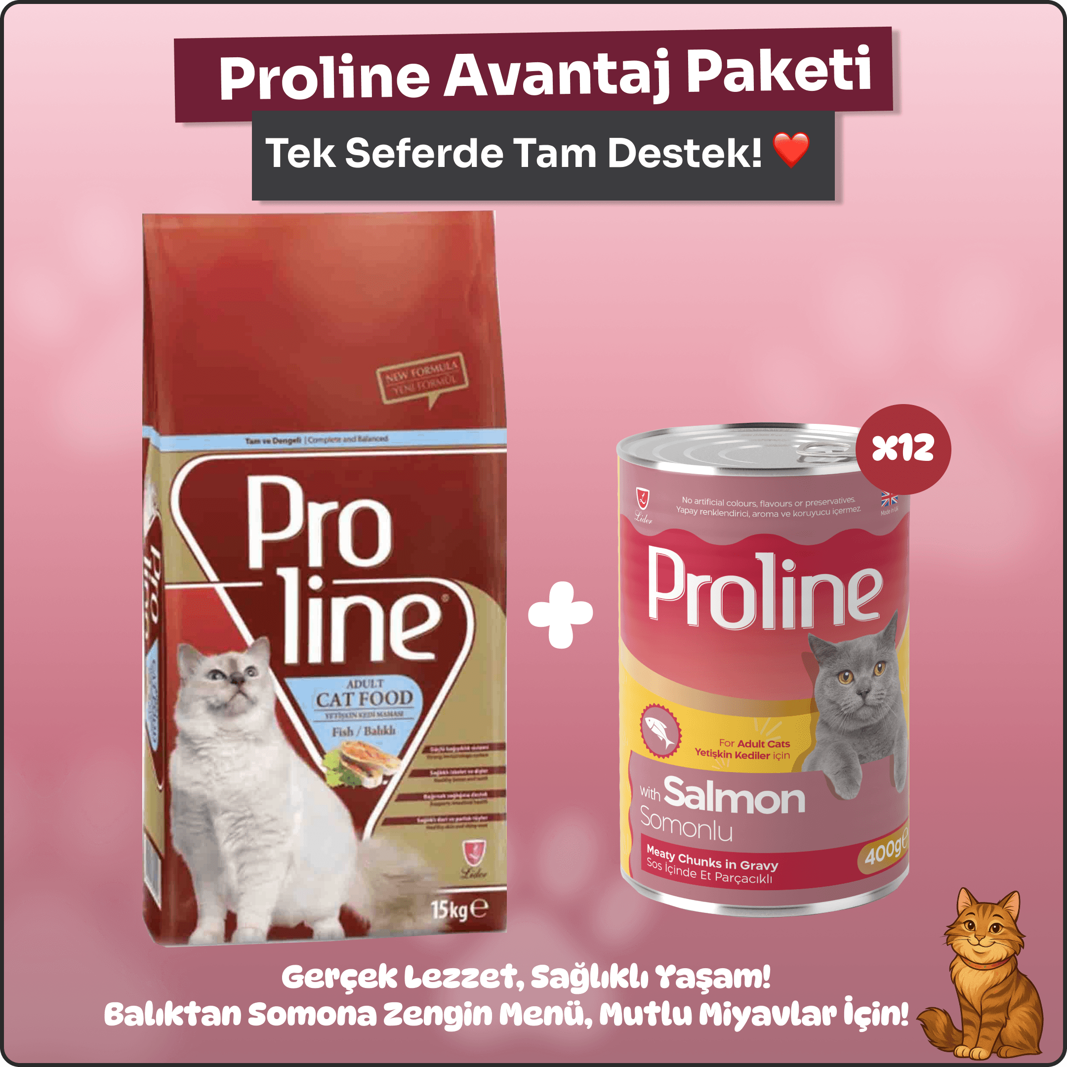 Proline Balıklı ve Somonlu Kedi Maması Paketi – 15 kg Kuru Mama + 12x400 g Konserve