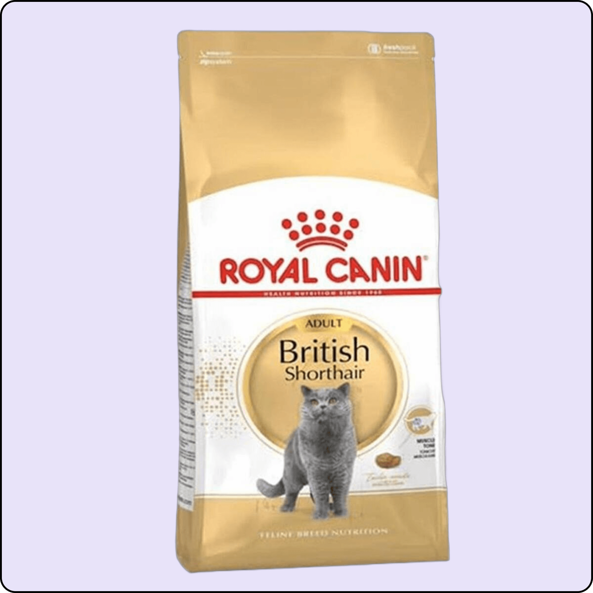 Royal Canin British Shorthair Yetişkin Kedi Maması 4 kg