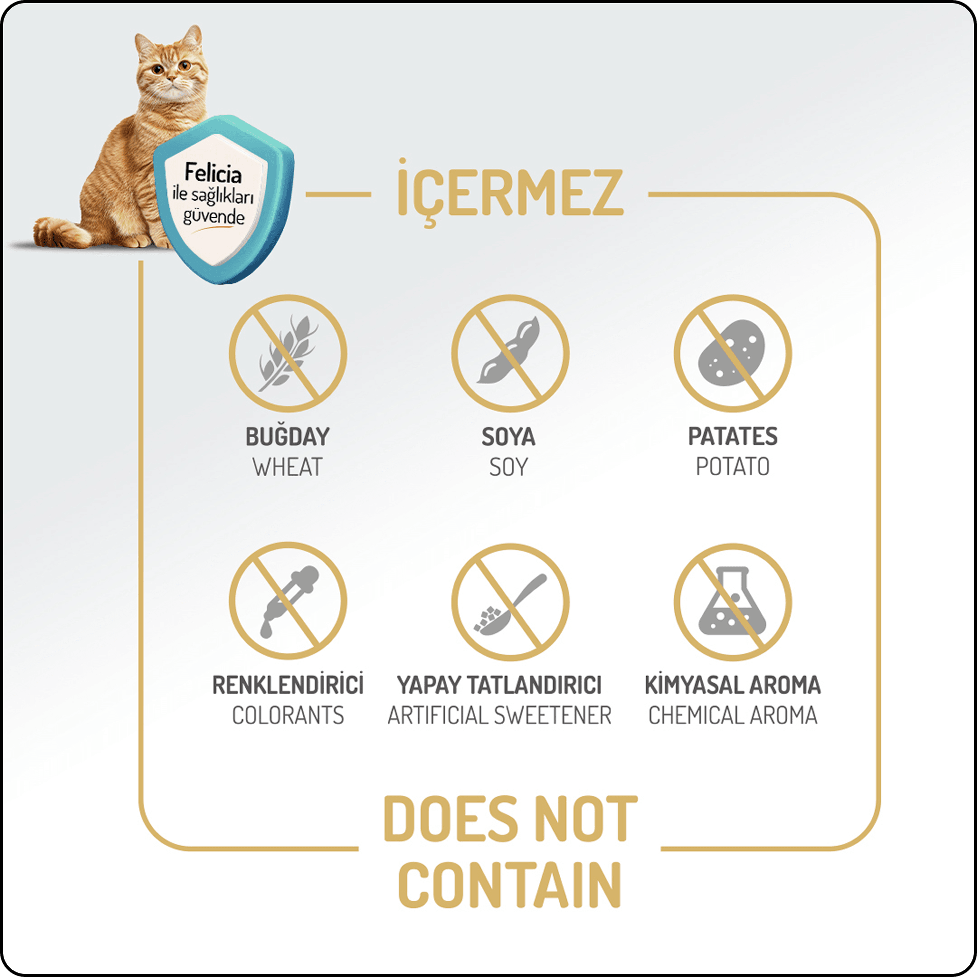Felicia Hypo-Allergenic Üriner Sağlığı için Somonlu Düşük Tahıllı Kısırlaştırılmış Kedi Maması 12 kg