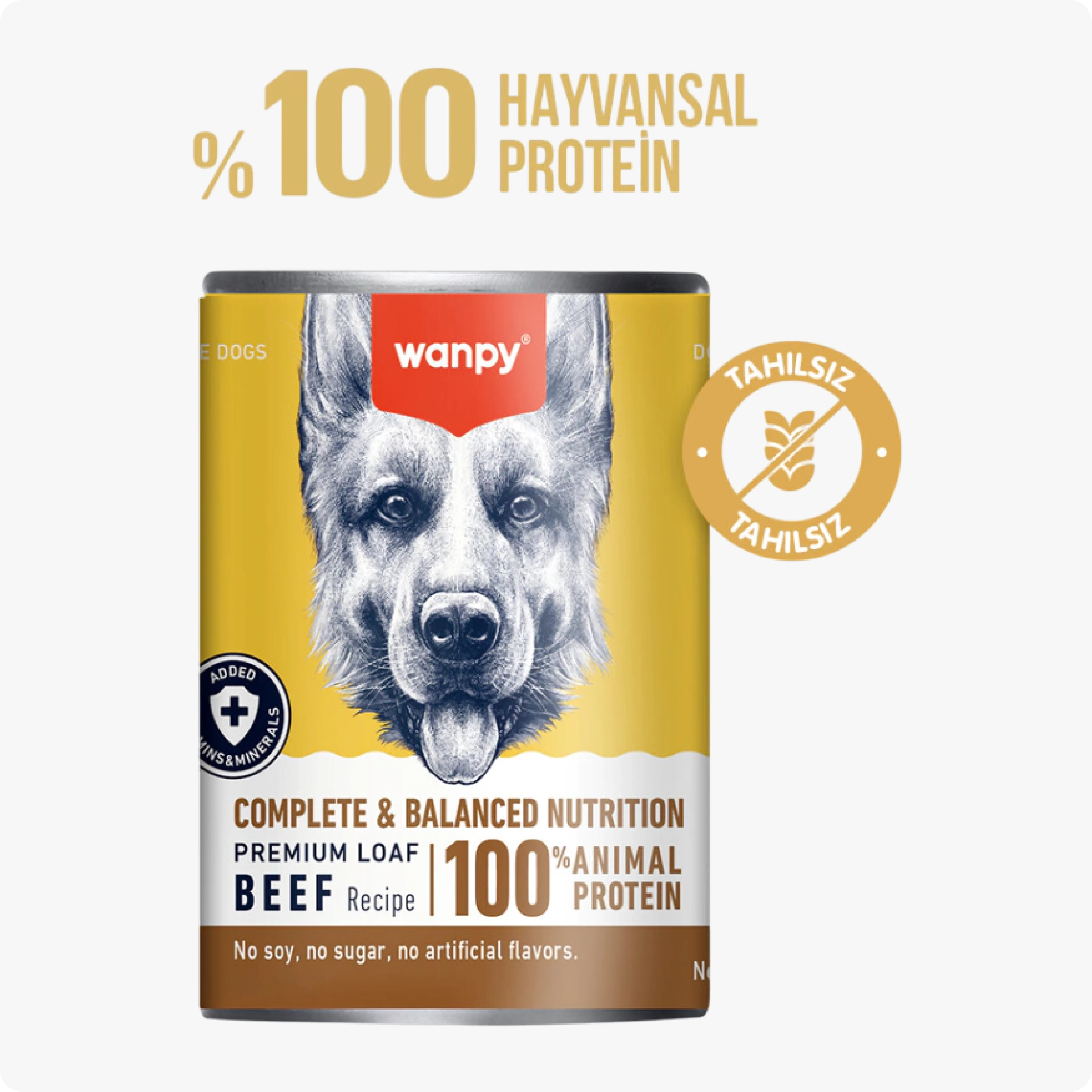 Wanpy Sığır Etli Ezme Köpek Konservesi 375 gr