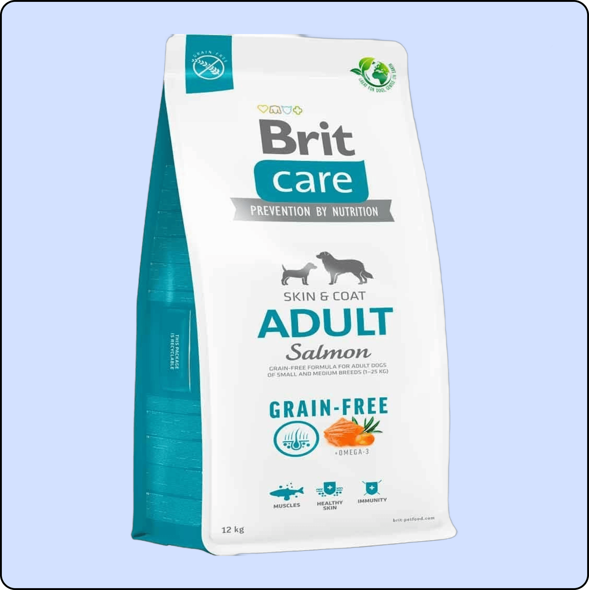 Brit Care Skin & Coat Tüm Irklar için Somonlu Tahılsız Yetişkin Köpek Maması 12 kg