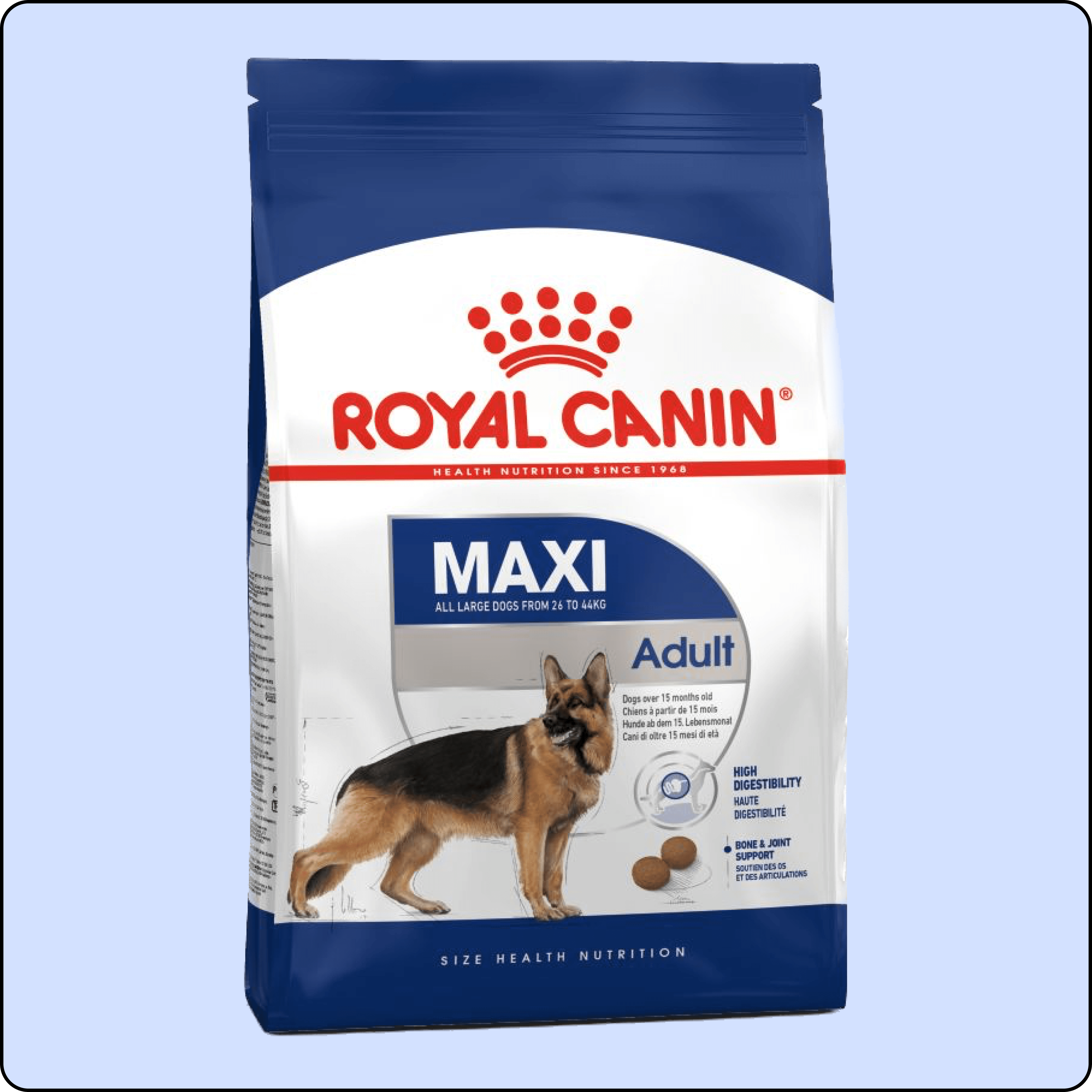 Royal Canin Maxi Büyük Irk Yetişkin Köpek Maması 15 kg