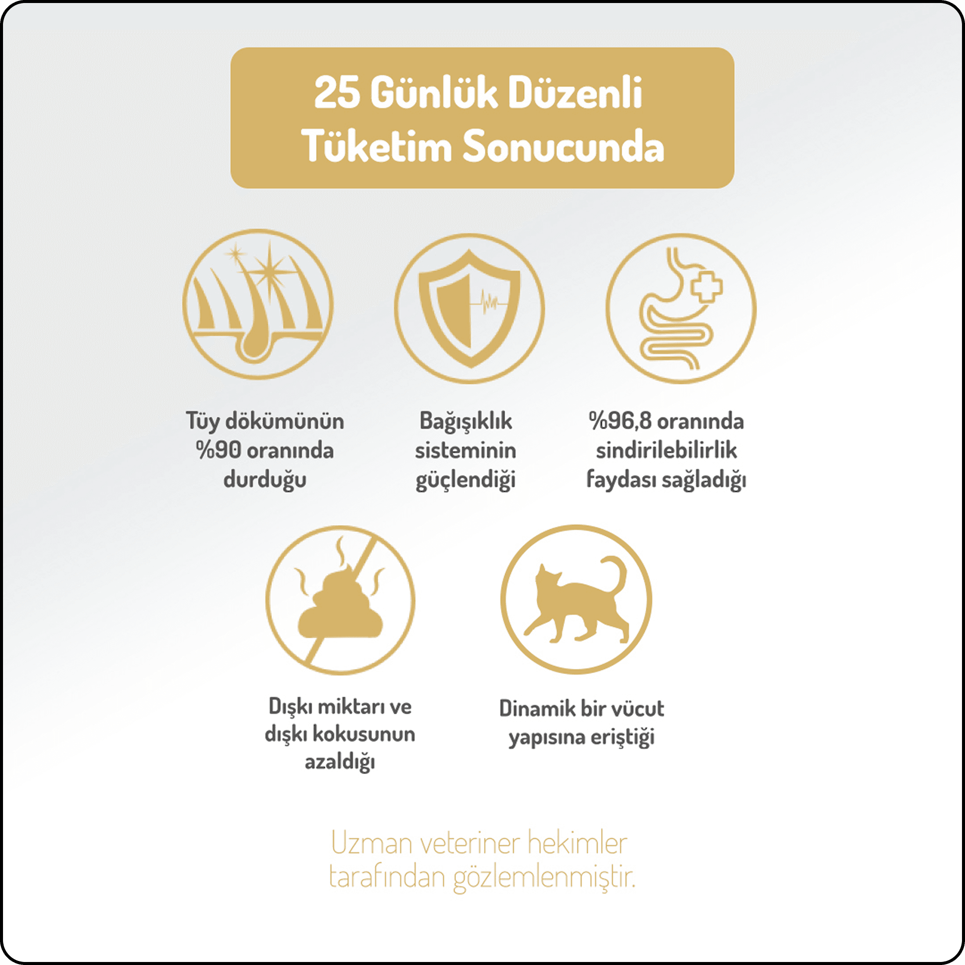 Felicia Hypo-Allergenic Üriner Sağlığı için Tavuklu Düşük Tahıllı Kısırlaştırılmış Kedi Maması 2 kg