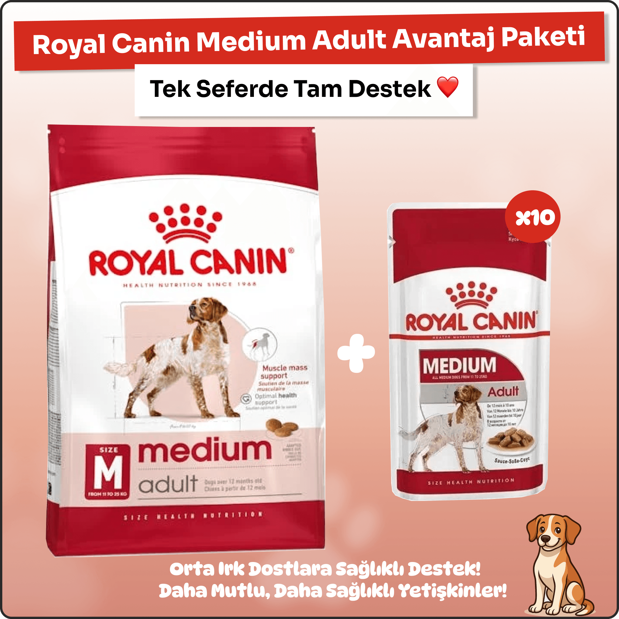 Royal Canin Medium Adult Avantaj Paketi 15 kg + 12 Yaş Mama
