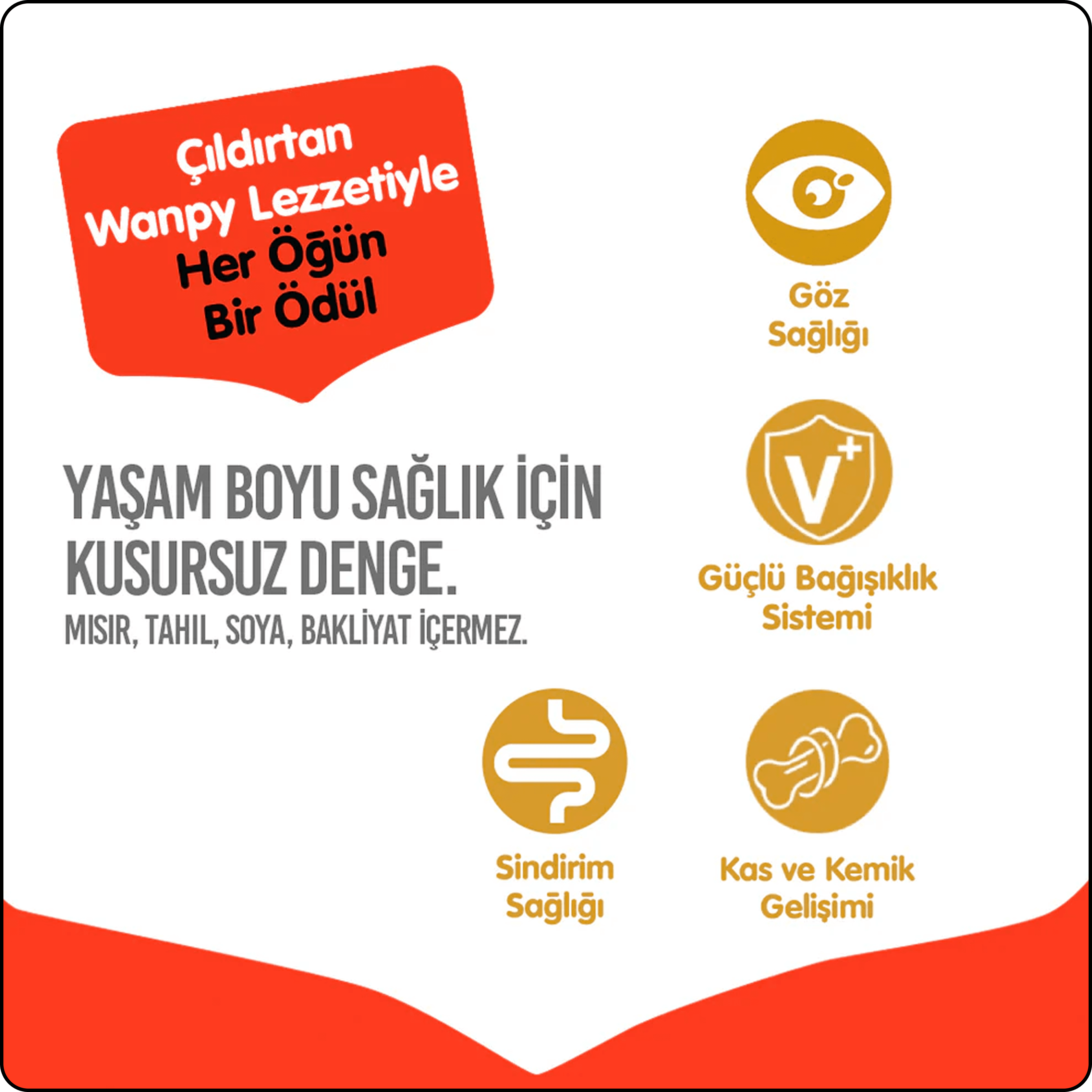 Wanpy Somonlu Tahılsız Yetişkin Kedi Maması 1.5 kg