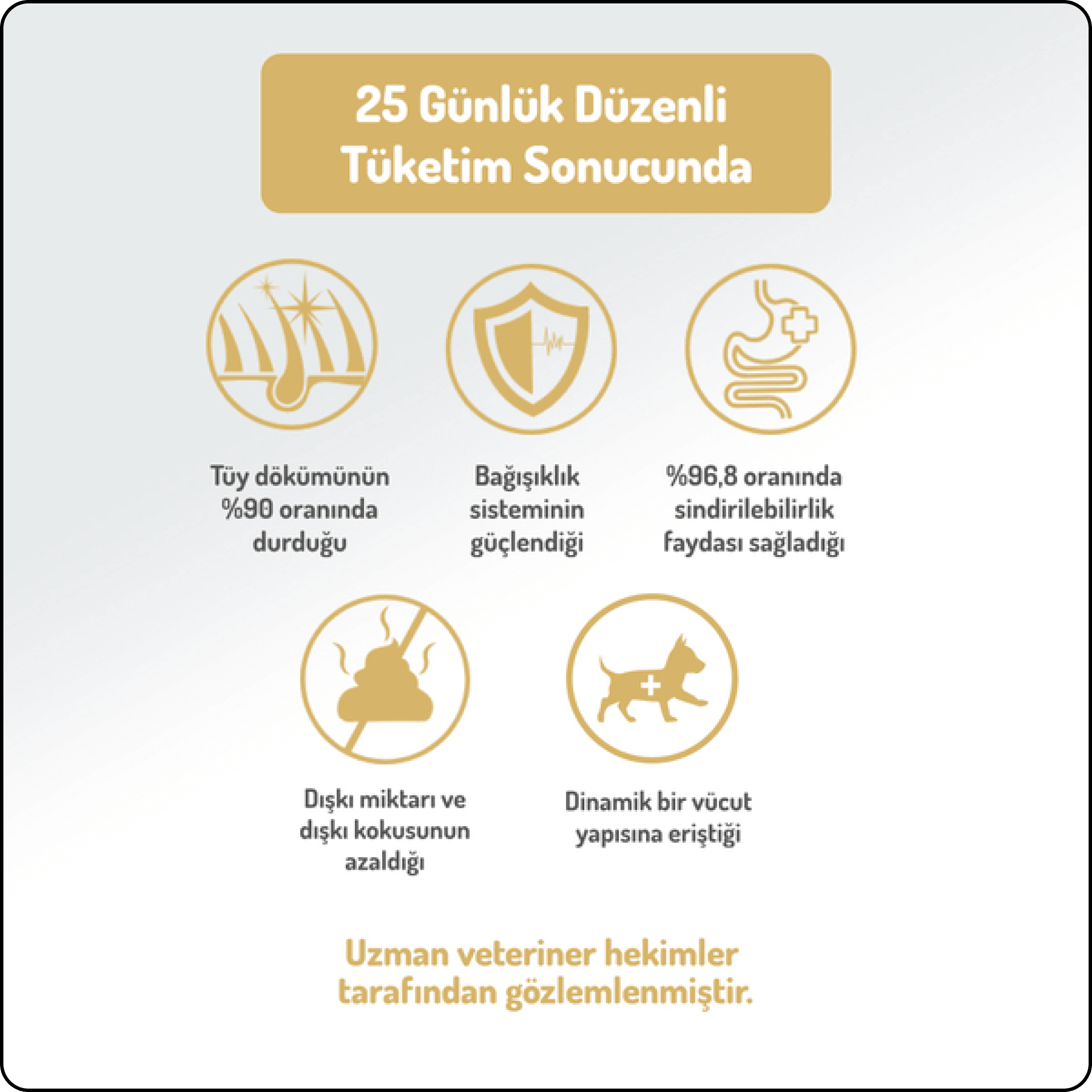 Felicia HypoAllergenic Somonlu ve Kolajenli Küçük Irk Düşük Tahıllı Yetişkin Köpek Maması 6 kg
