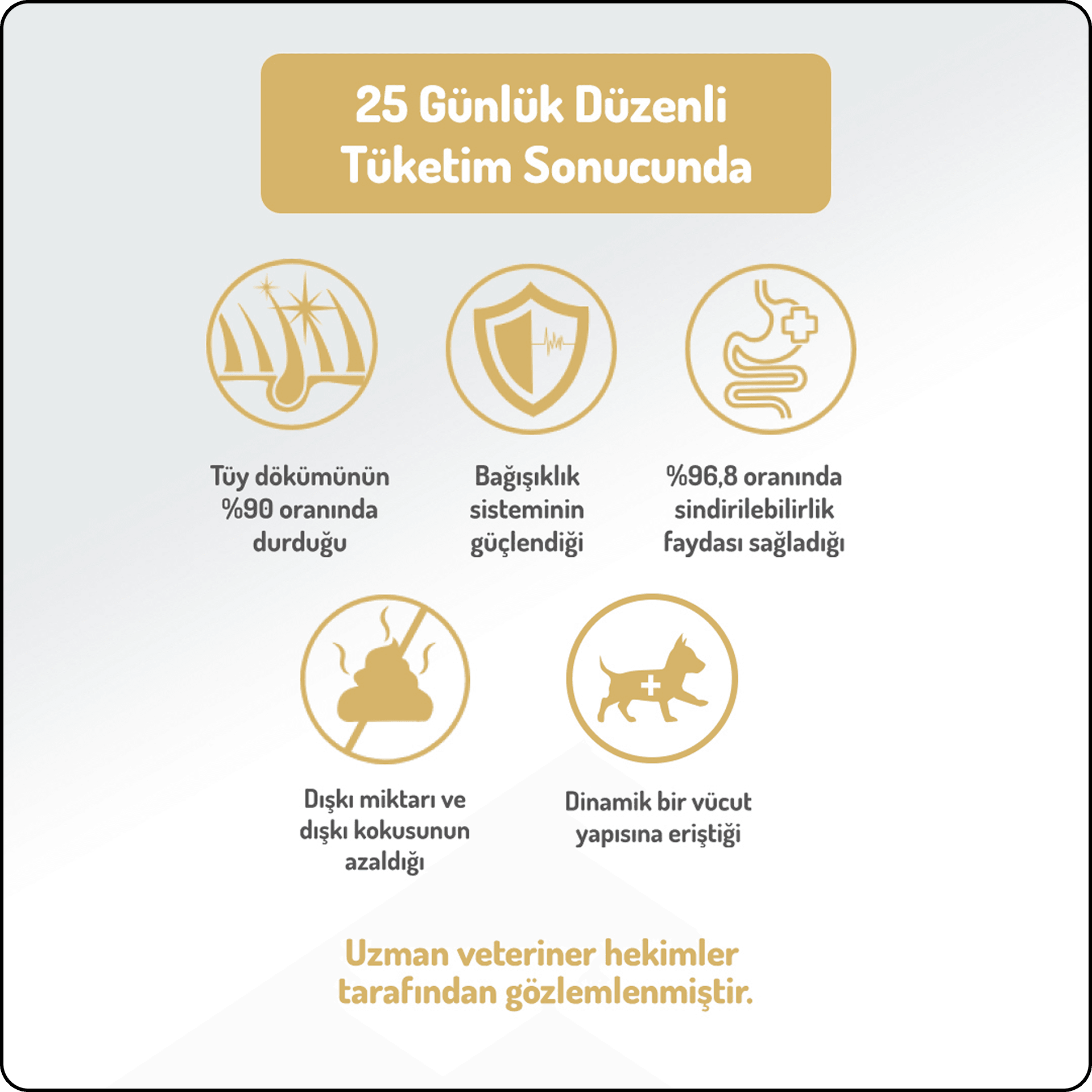 Felicia Hypo-Allergenic Somonlu Düşük Tahıllı Medium&Large Yetişkin Köpek Maması 15 kg