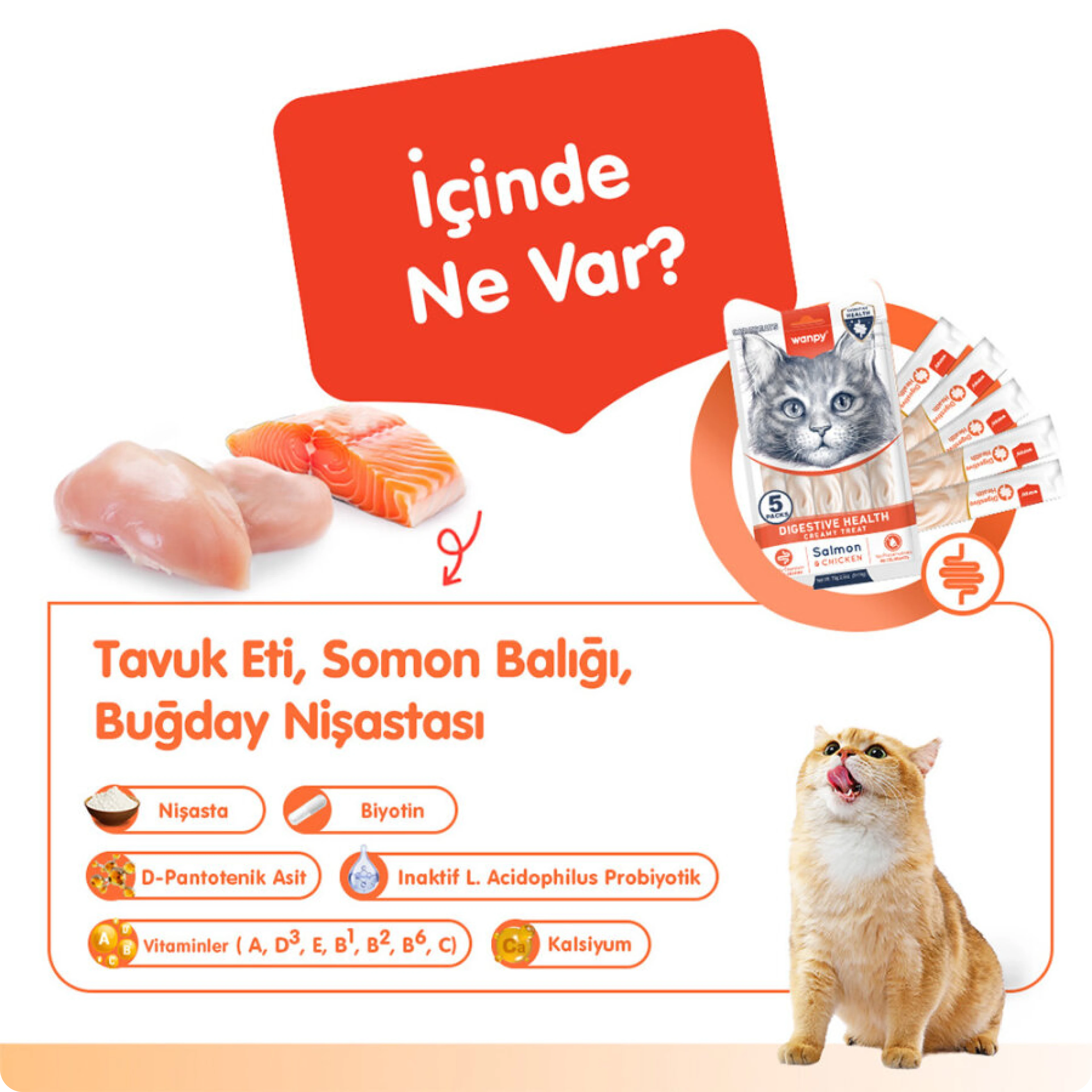 Wanpy Digestive Health Somonlu ve Tavuklu Sindirim Desteği Krema Kedi Ödül Maması 14 gr (5'li)