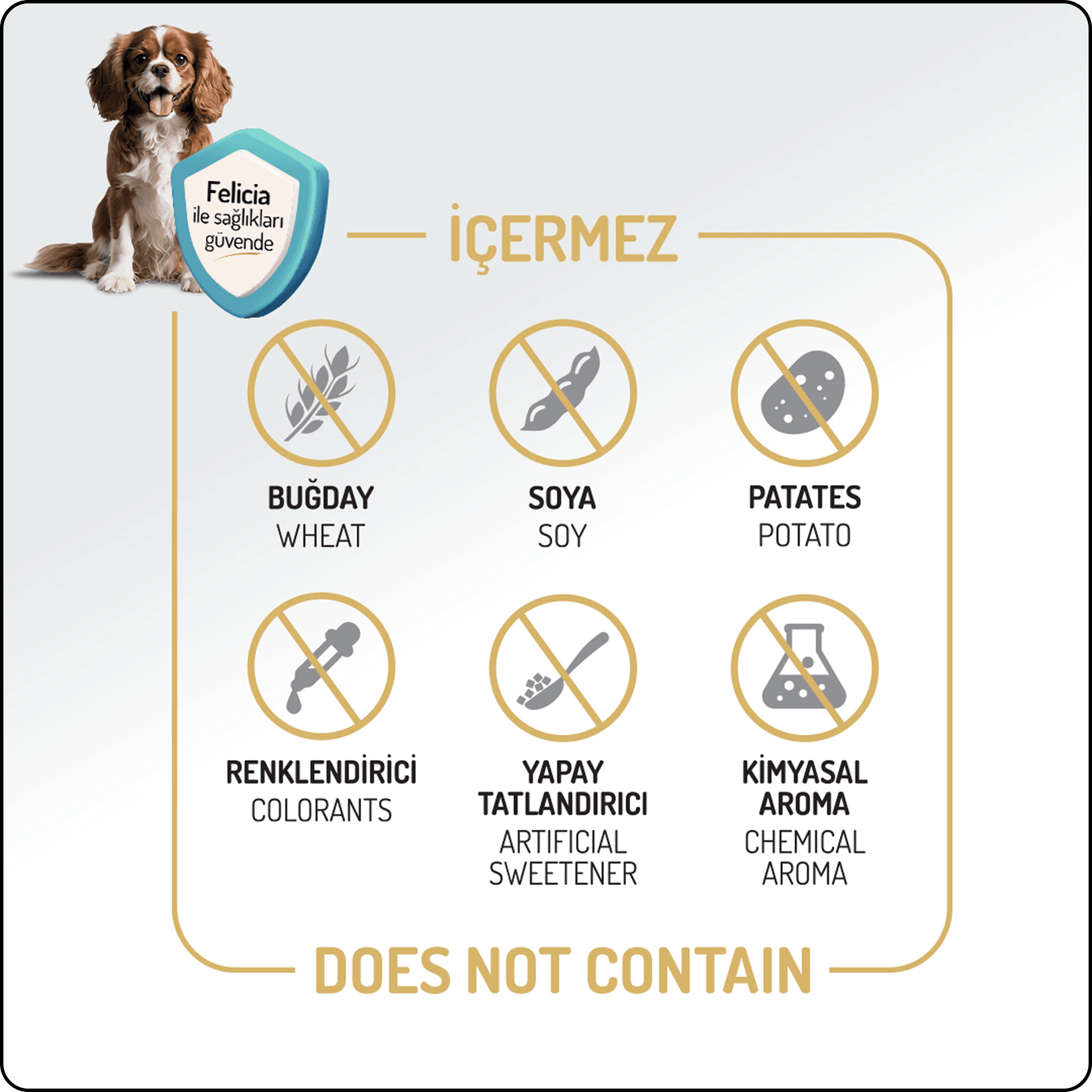 Felicia HypoAllergenic Orta ve Büyük Irk Kuzulu Düşük Tahıllı Yetişkin Köpek Maması 15 kg