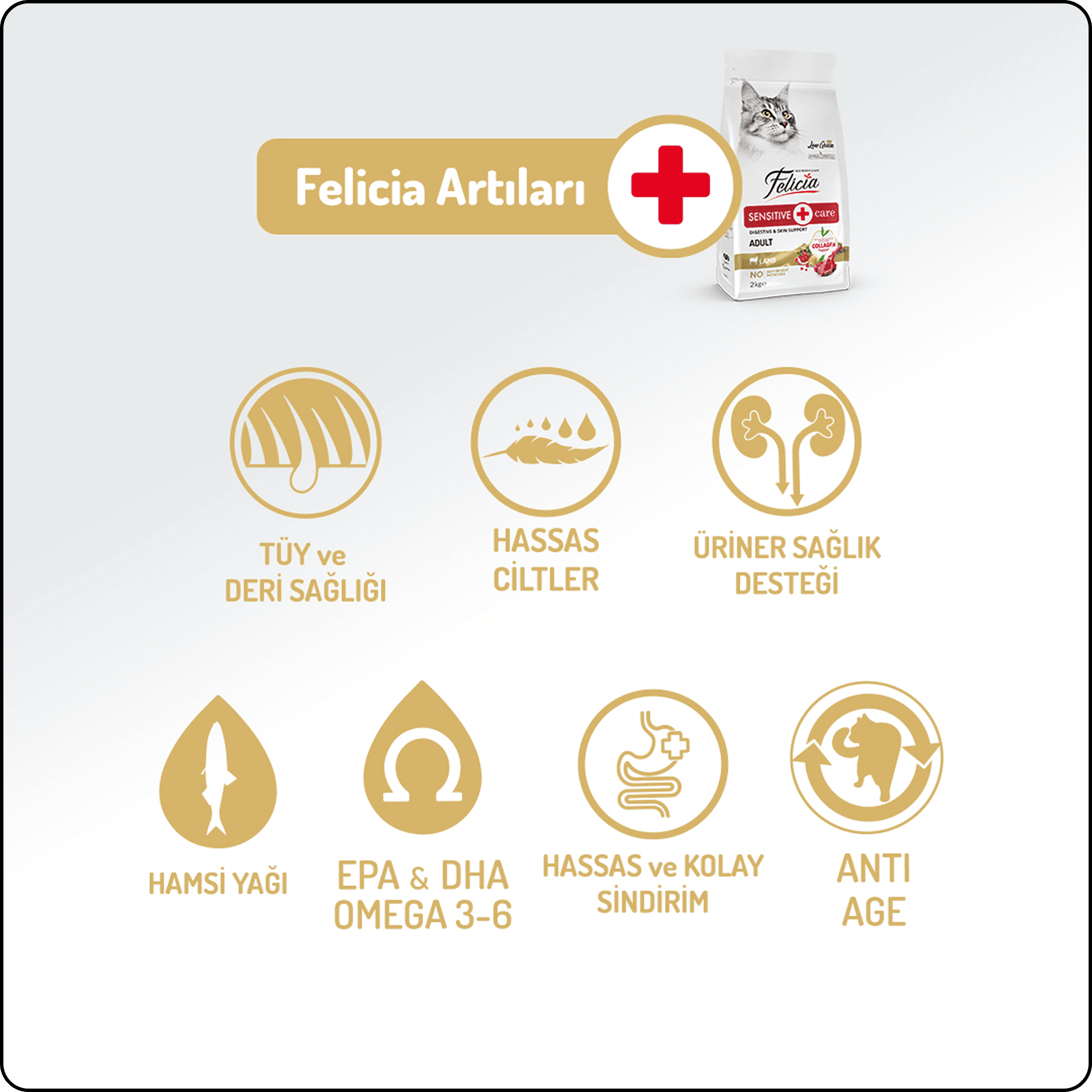 Felicia HypoAllergenic Kuzu Etli Düşük Tahıllı Yetişkin Kedi Maması 2 kg