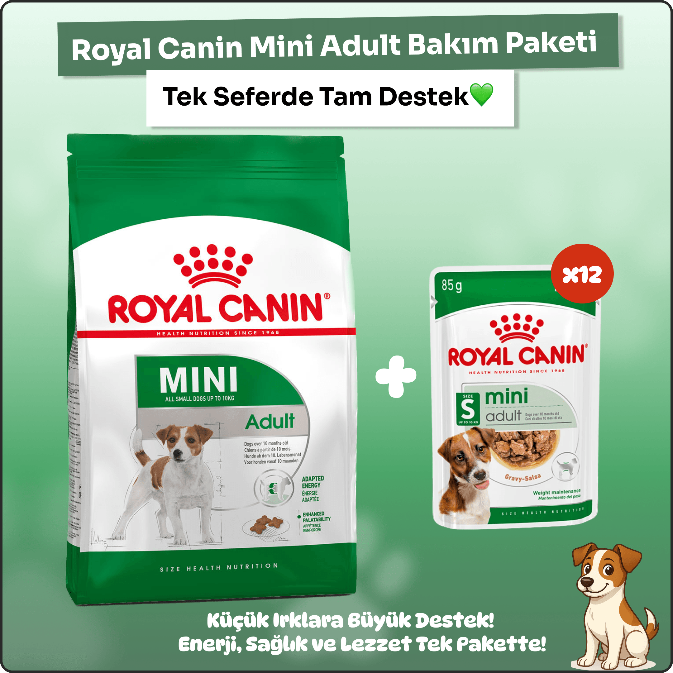 Royal Canin Mini Adult Köpek Maması Seti – 8 Kg + 12’li Yaş Mama!