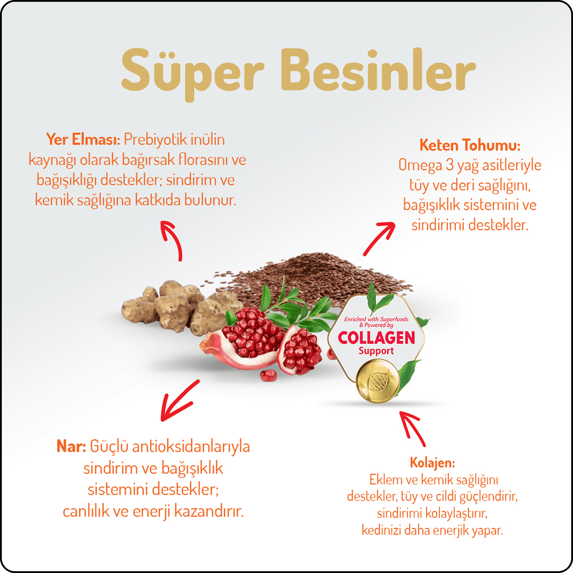 Felicia Hypo-Allergenic Üriner Sağlığı için Somonlu Düşük Tahıllı Kısırlaştırılmış Kedi Maması 12 kg