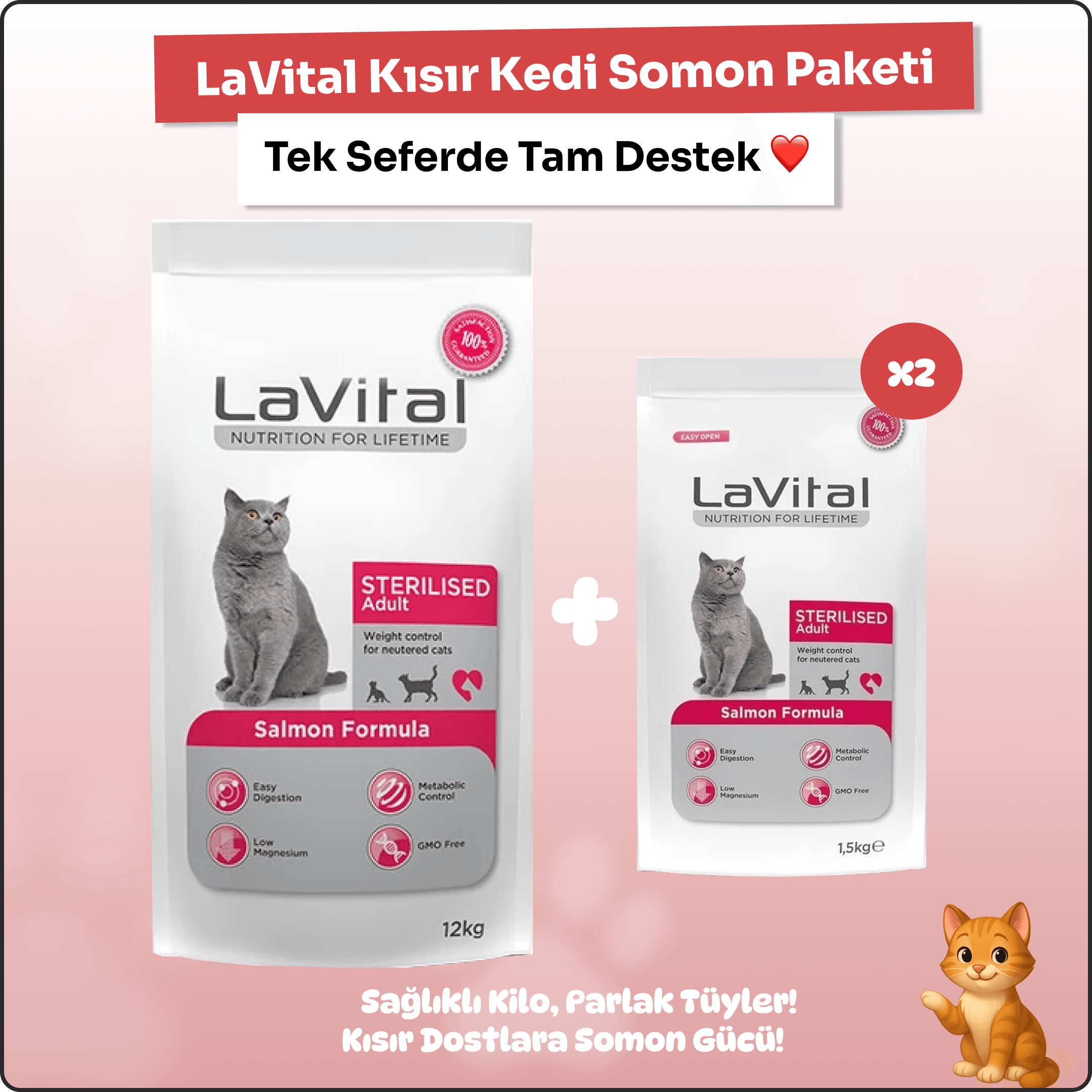 LaVital Somonlu Kısır Kedi Ekonomi Paketi – 12kg + 3kg Güçlü Formül