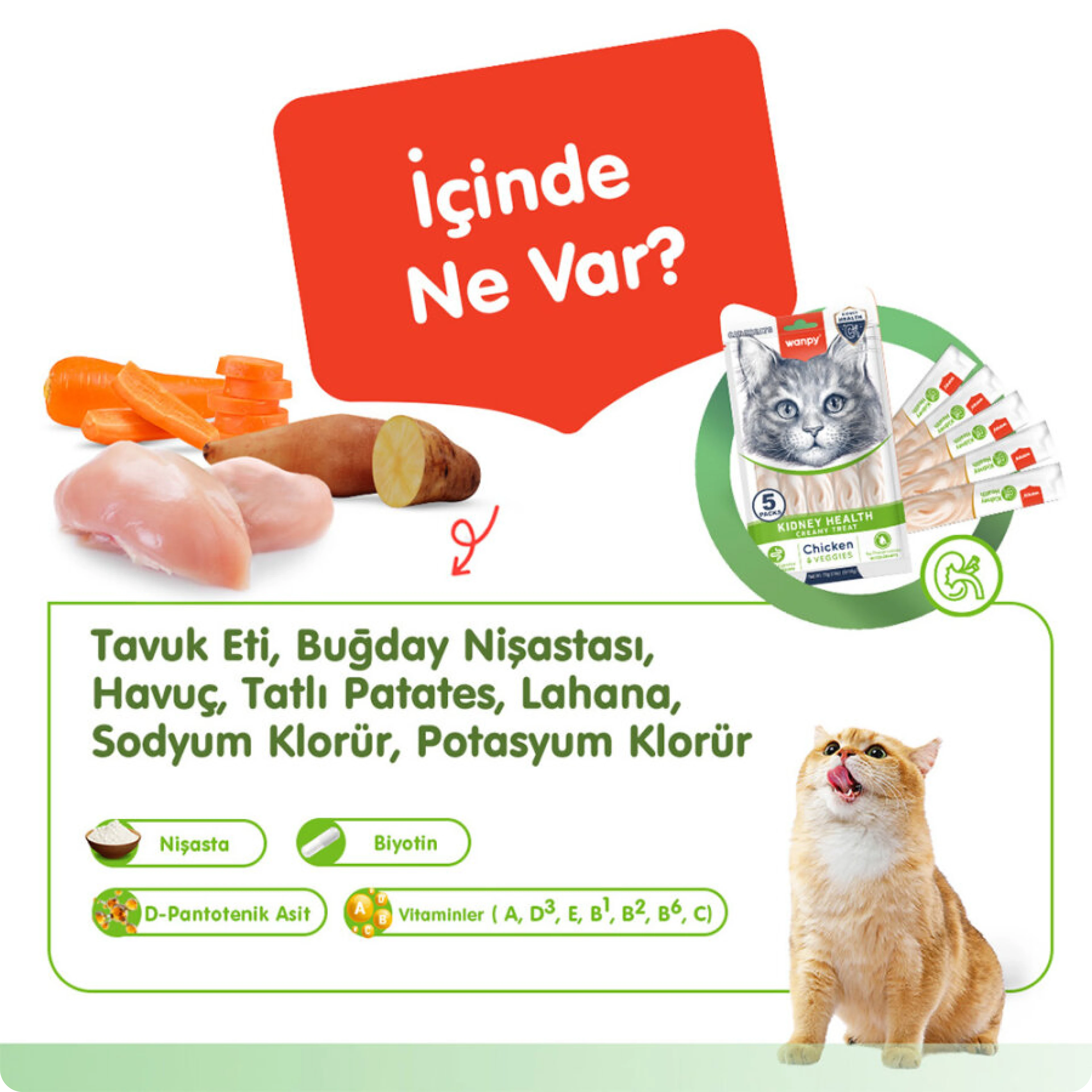 Wanpy Kidney Health Tavuklu ve Sebzeli Böbrek Sağlığı Desteği Krema Kedi Ödül Maması 14 gr (5'li)