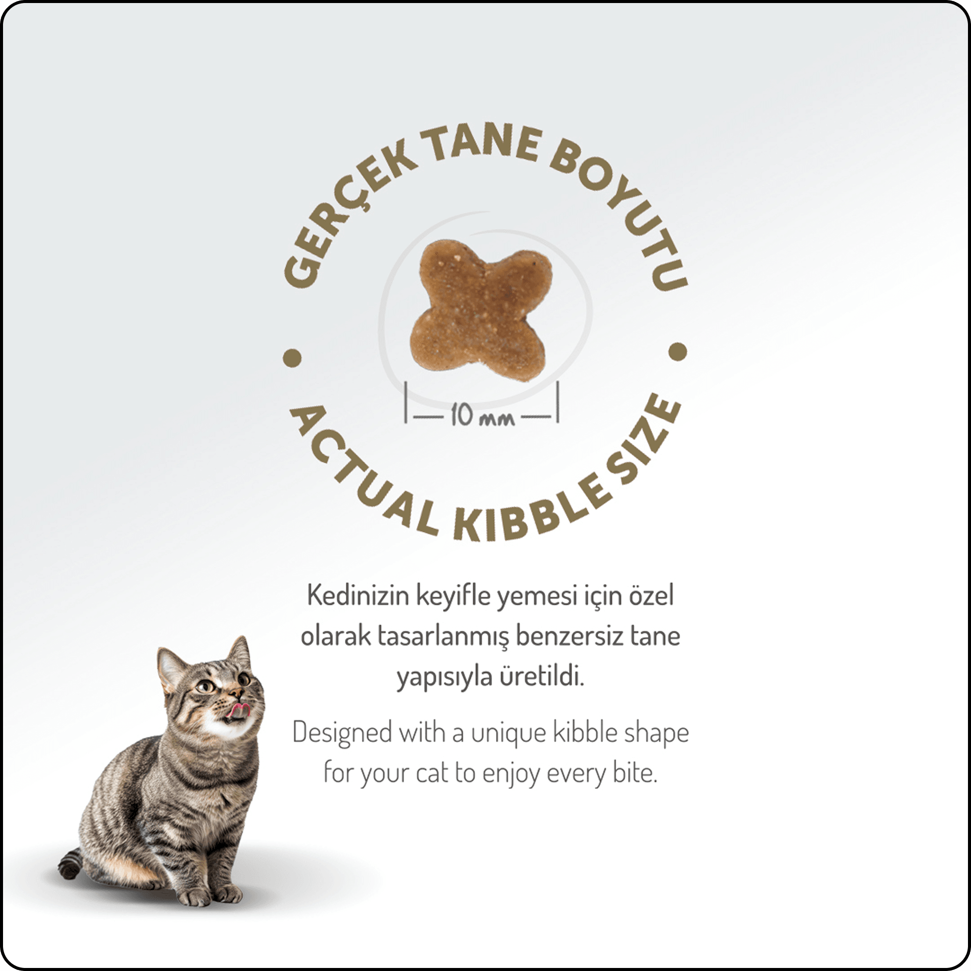 Felicia HypoAllergenic Tavuklu ve Hamsili Düşük Tahıllı Yavru Kedi Maması 2 kg