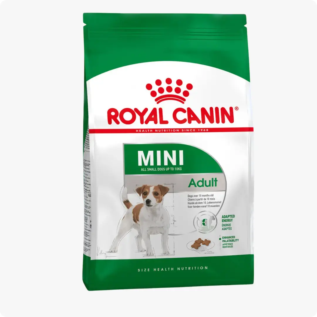 ドッグフード  CANIN mini INDOOR adult S 10kg Royal Canin Mini Küçük Irk Yetişkin Köpek Maması 8 kg