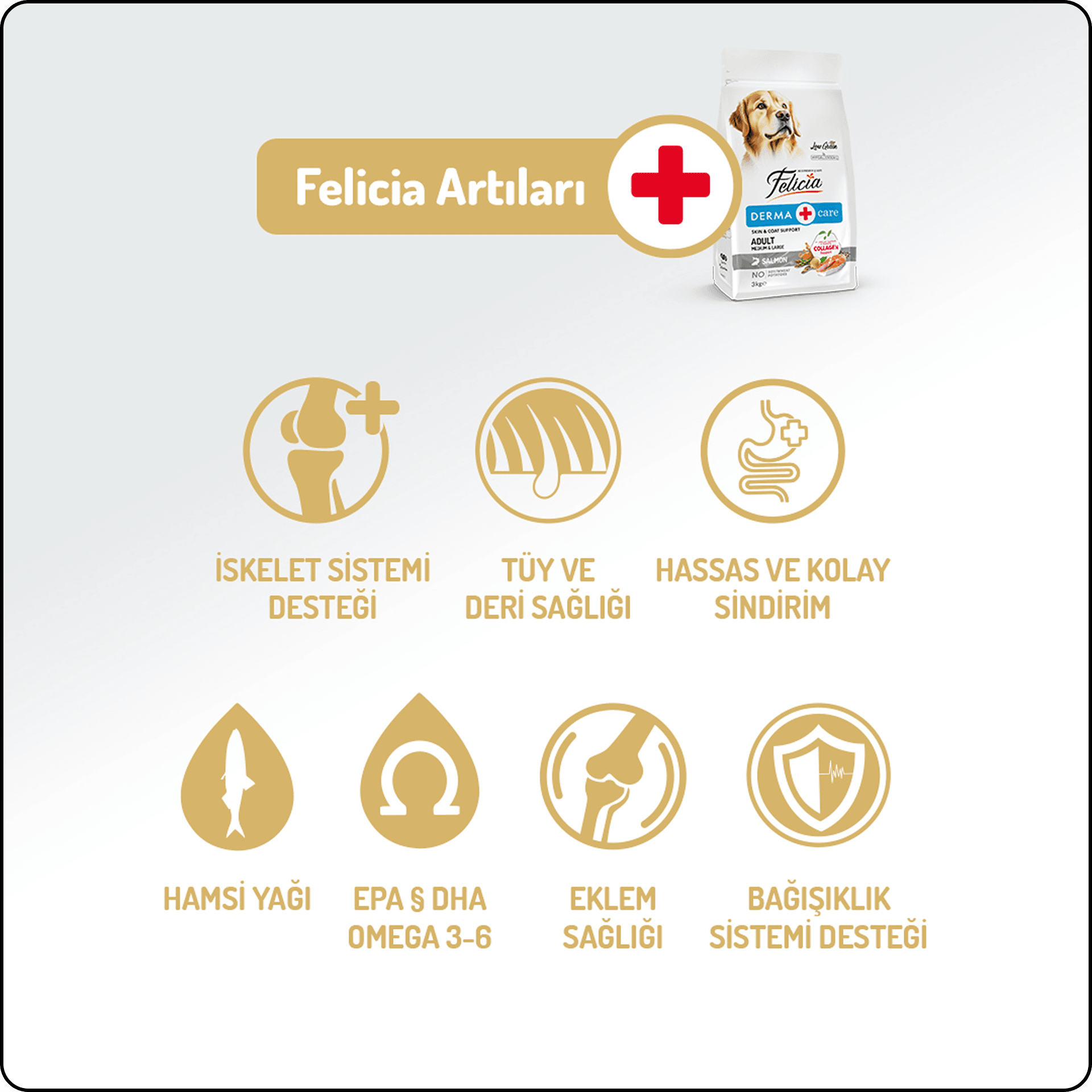 Felicia Hypo-Allergenic Somonlu Düşük Tahıllı Medium&Large Yetişkin Köpek Maması 15 kg