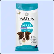 Vet