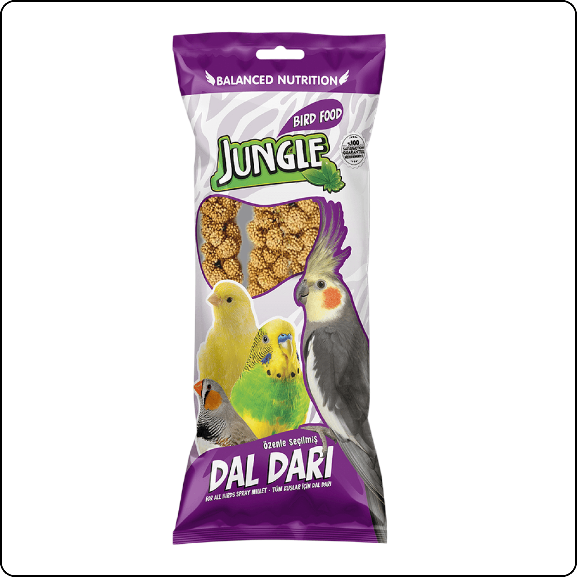 Jungle Doğal Dal Darı 5'li