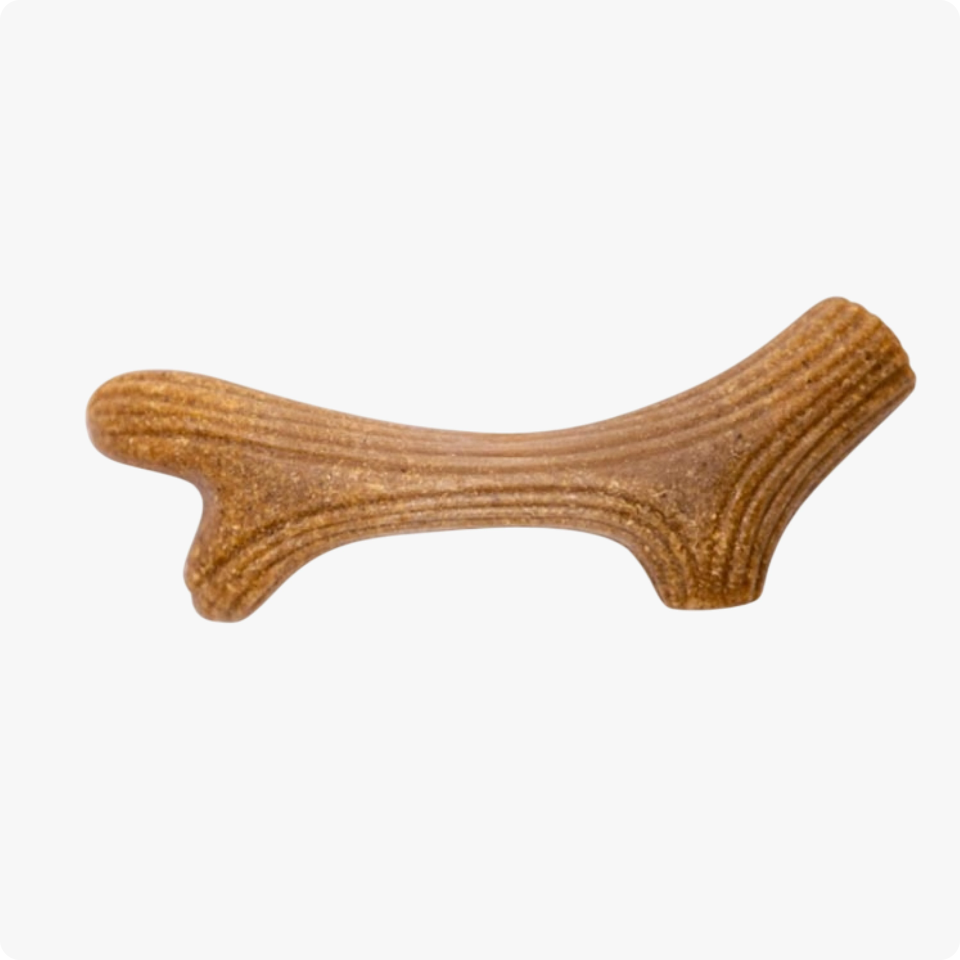 Gigwi Doğal Ağaç Diş Kaşıma Köpek Oyuncağı 22 cm L