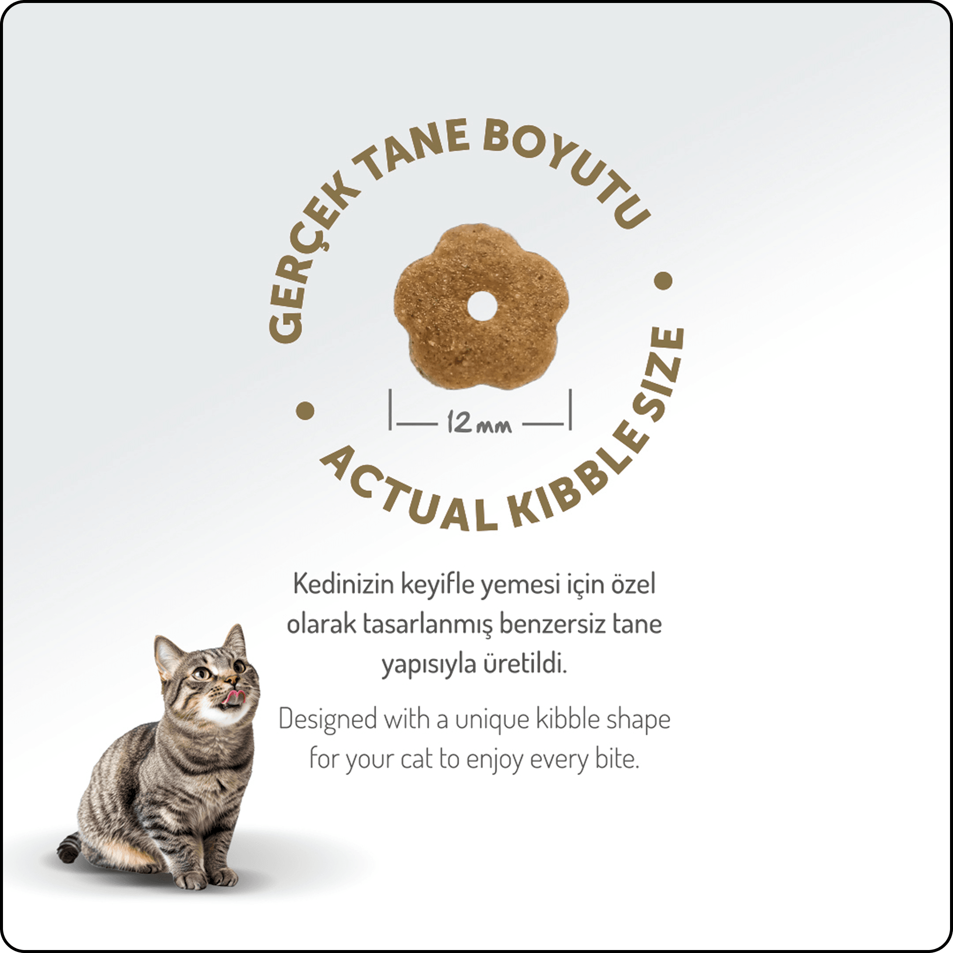 Felicia HypoAllergenic Az Tahıllı Tavuklu Yetişkin Kedi Maması 2 kg