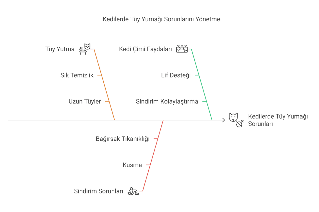 Kedilerde tüy yumağı sorunlarını yönetmeyi gösteren bir balık kılçığı diyagramı.