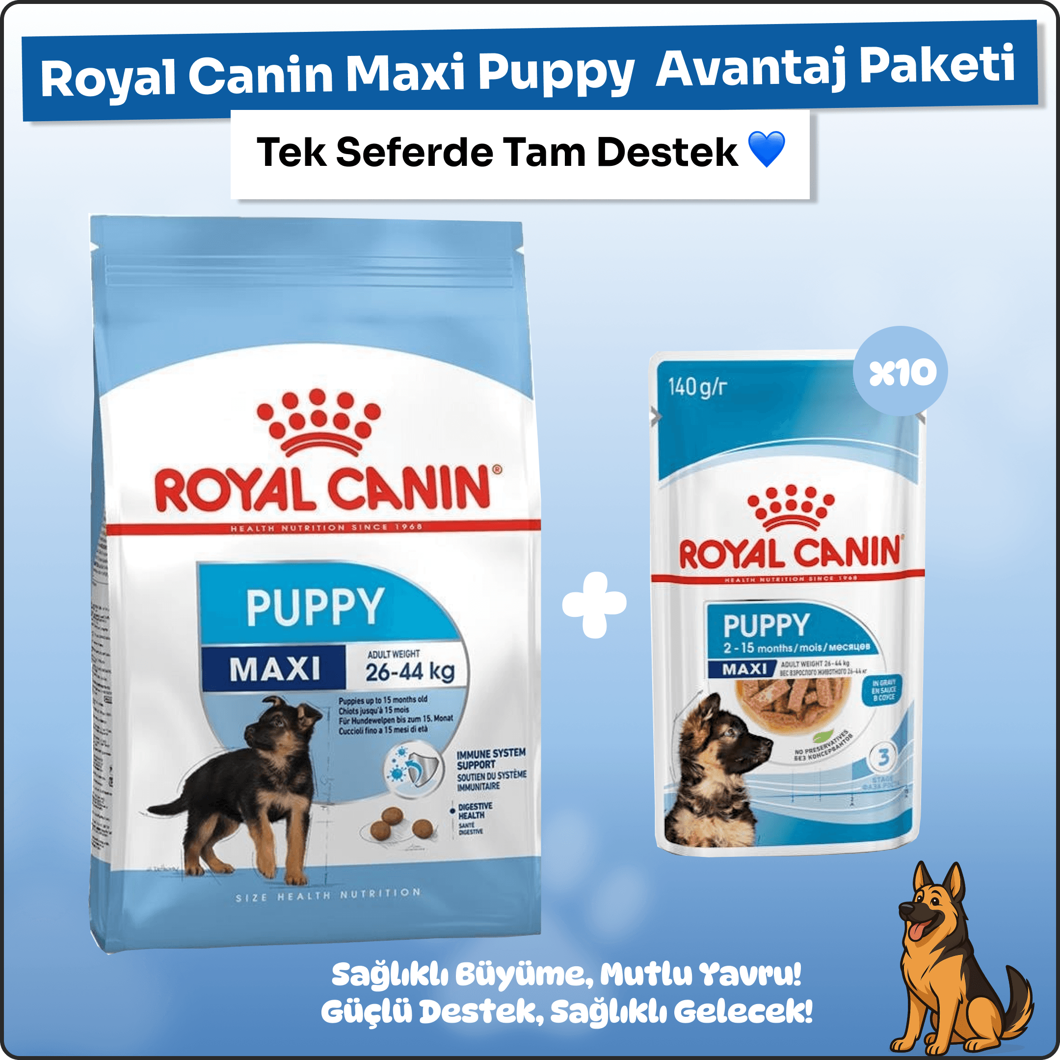 Royal Canin Maxi Puppy 15 kg + 12'li Yaş Mama Avantaj Paketi