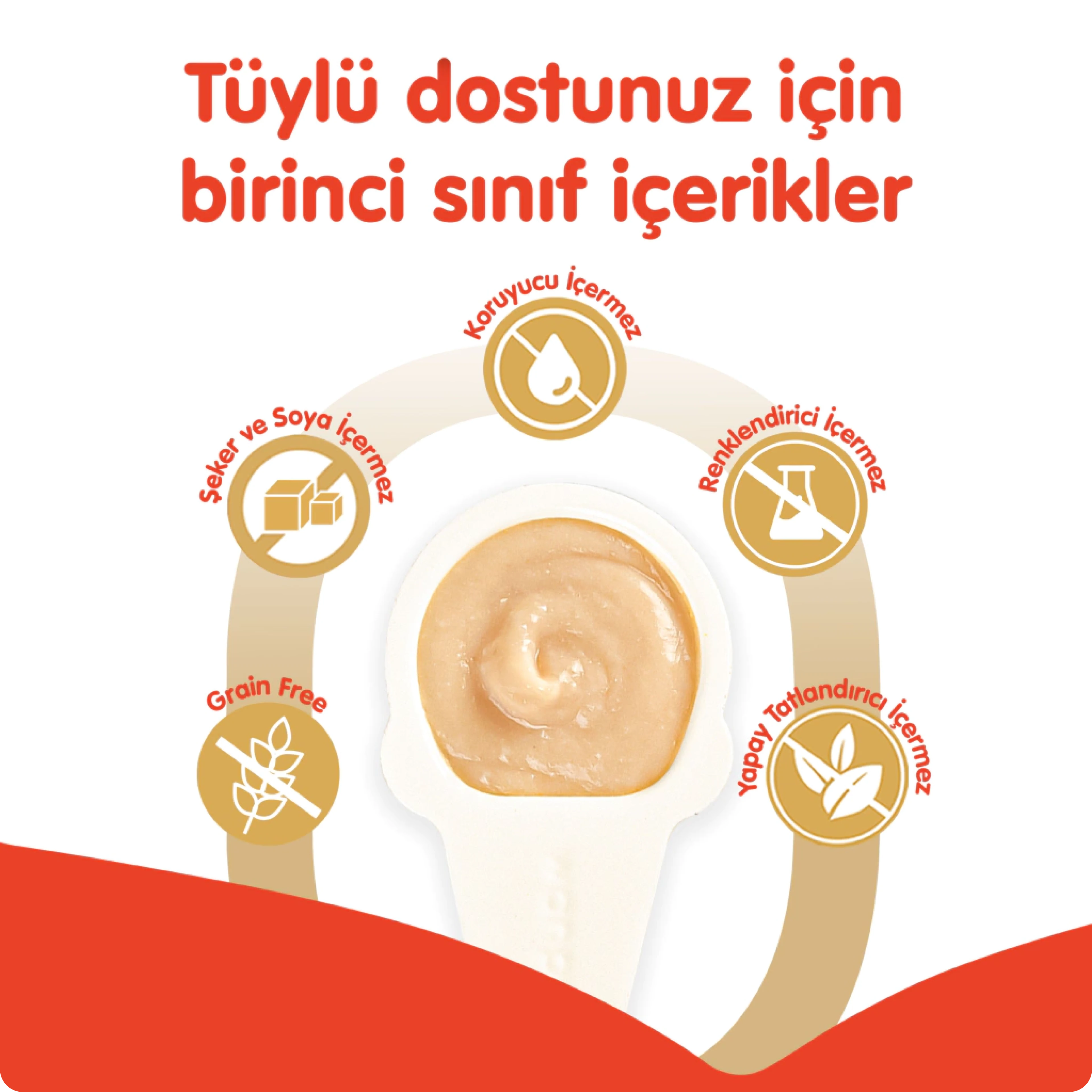 Wanpy Tavuklu Kaşık Krema Kedi Ödül Maması 16 gr 10'lu