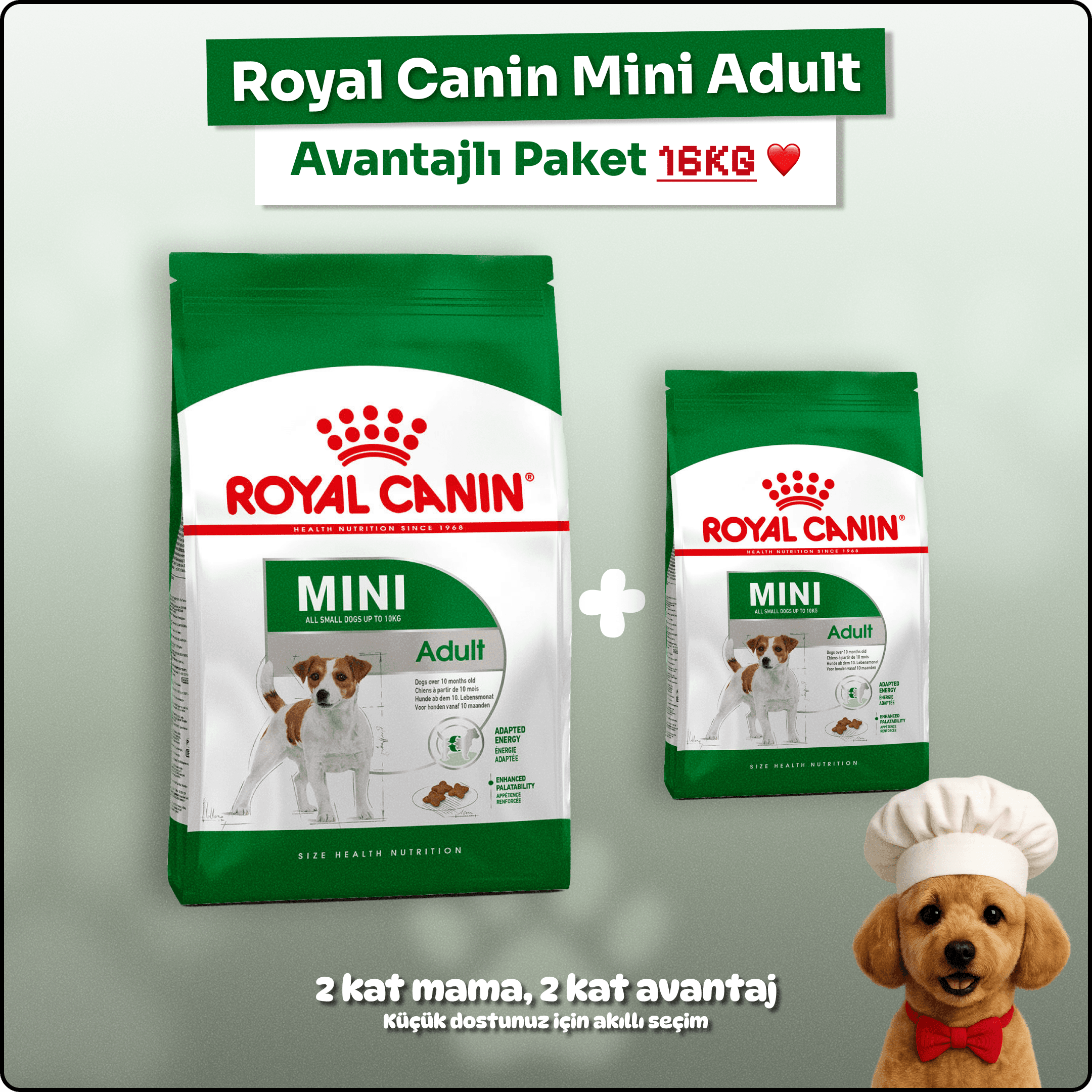 Royal Canin Mini Adult  Küçük Irk Yetişkin Köpek Maması 16 kg - Avantaj Paketi (2*8kg)