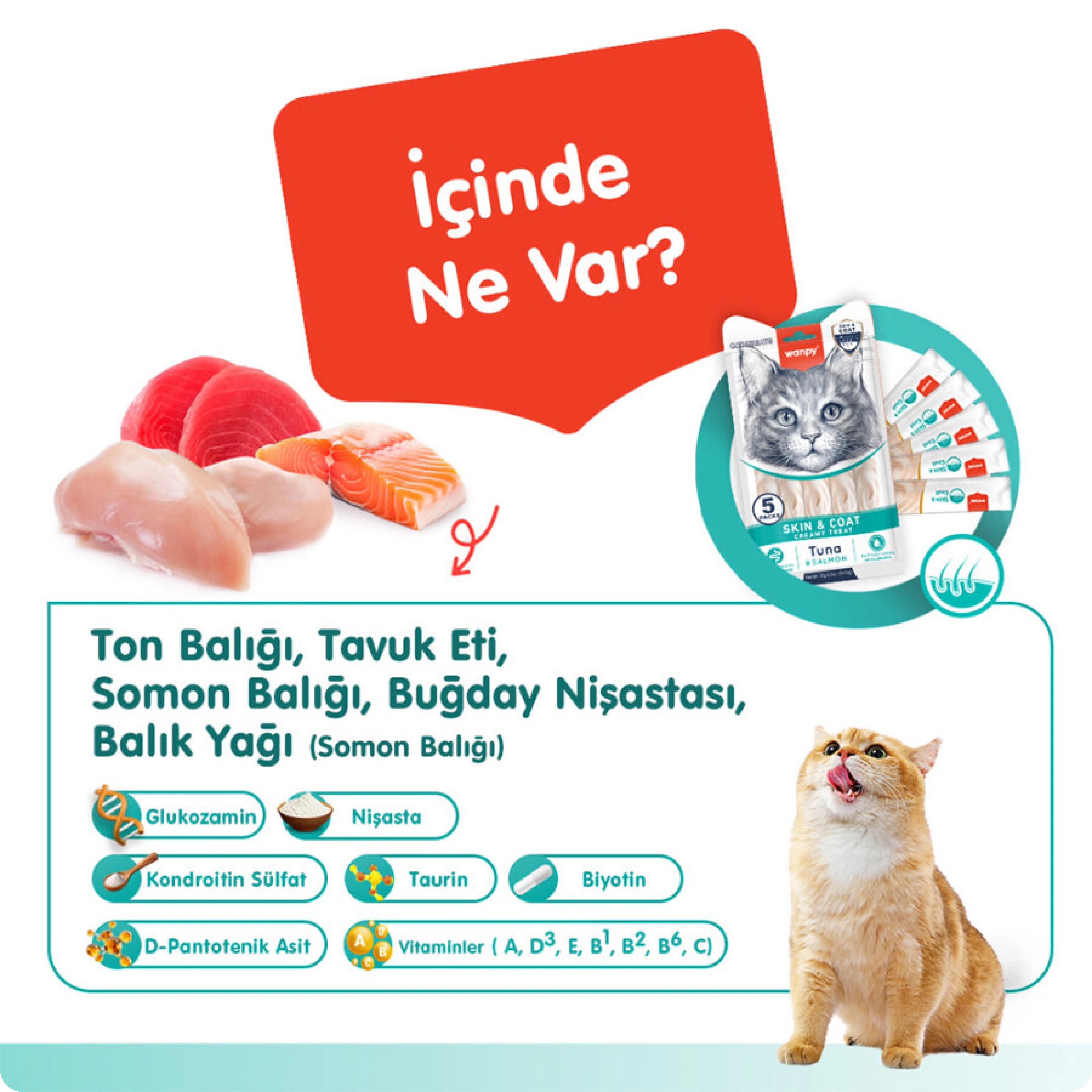 Wanpy Skin&Coat Ton Balıklı ve Somonlu Tüy Sağlığı Destekleyici Krema Kedi Ödül Maması 14 gr (5'li)