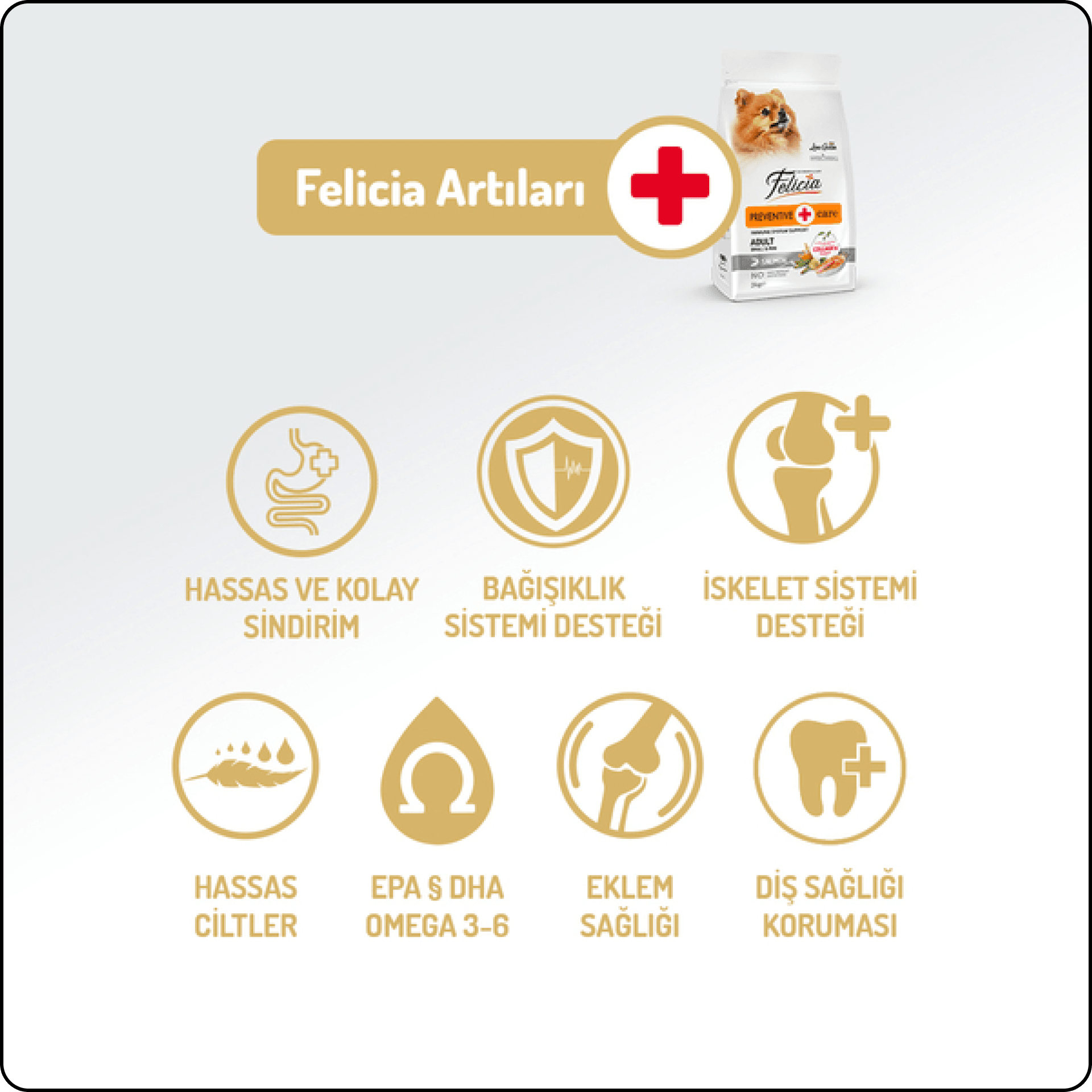 Felicia HypoAllergenic Somonlu ve Kolajenli Küçük Irk Düşük Tahıllı Yetişkin Köpek Maması 6 kg