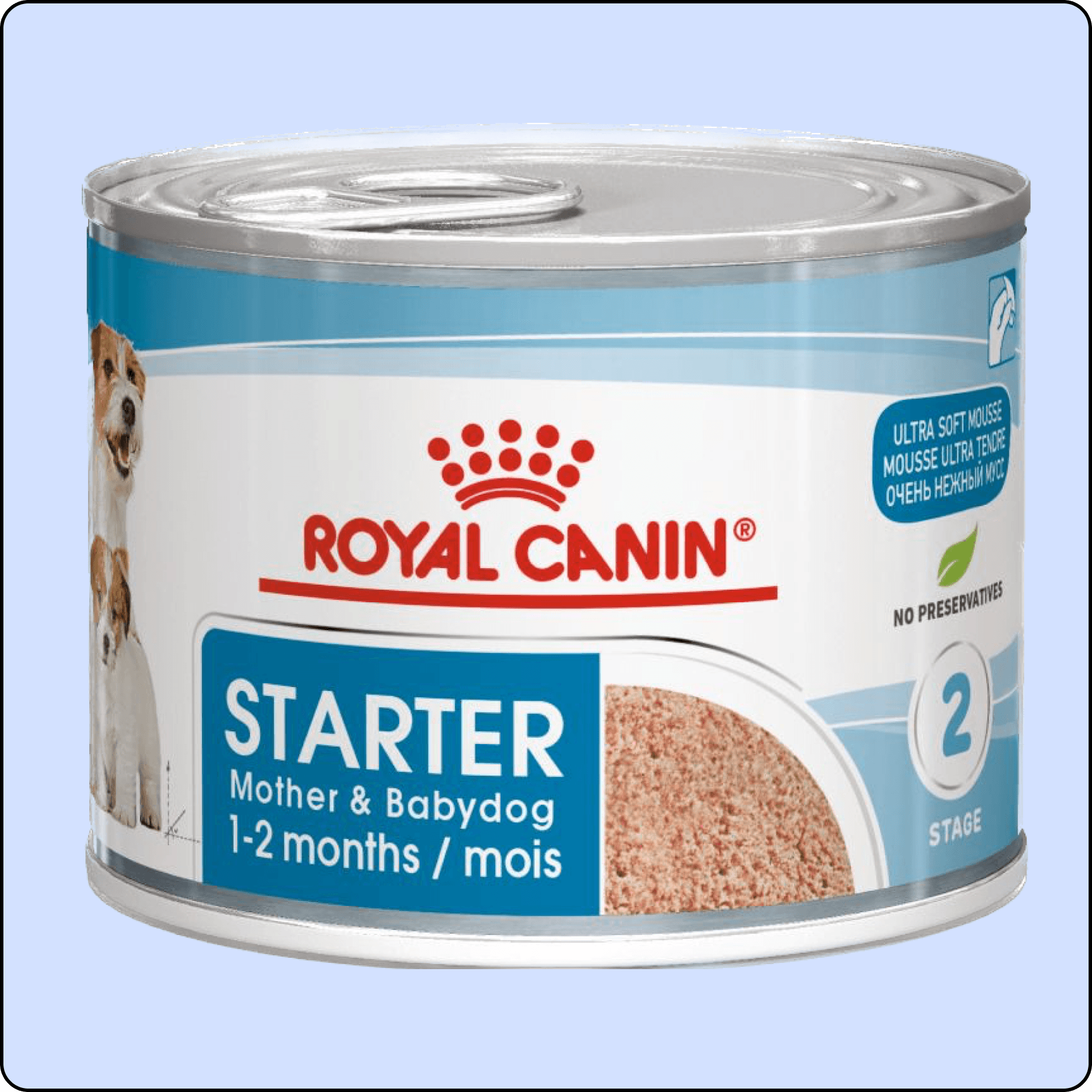 Royal Canin Starter Anne ve Yavru Köpek Konservesi 195 gr