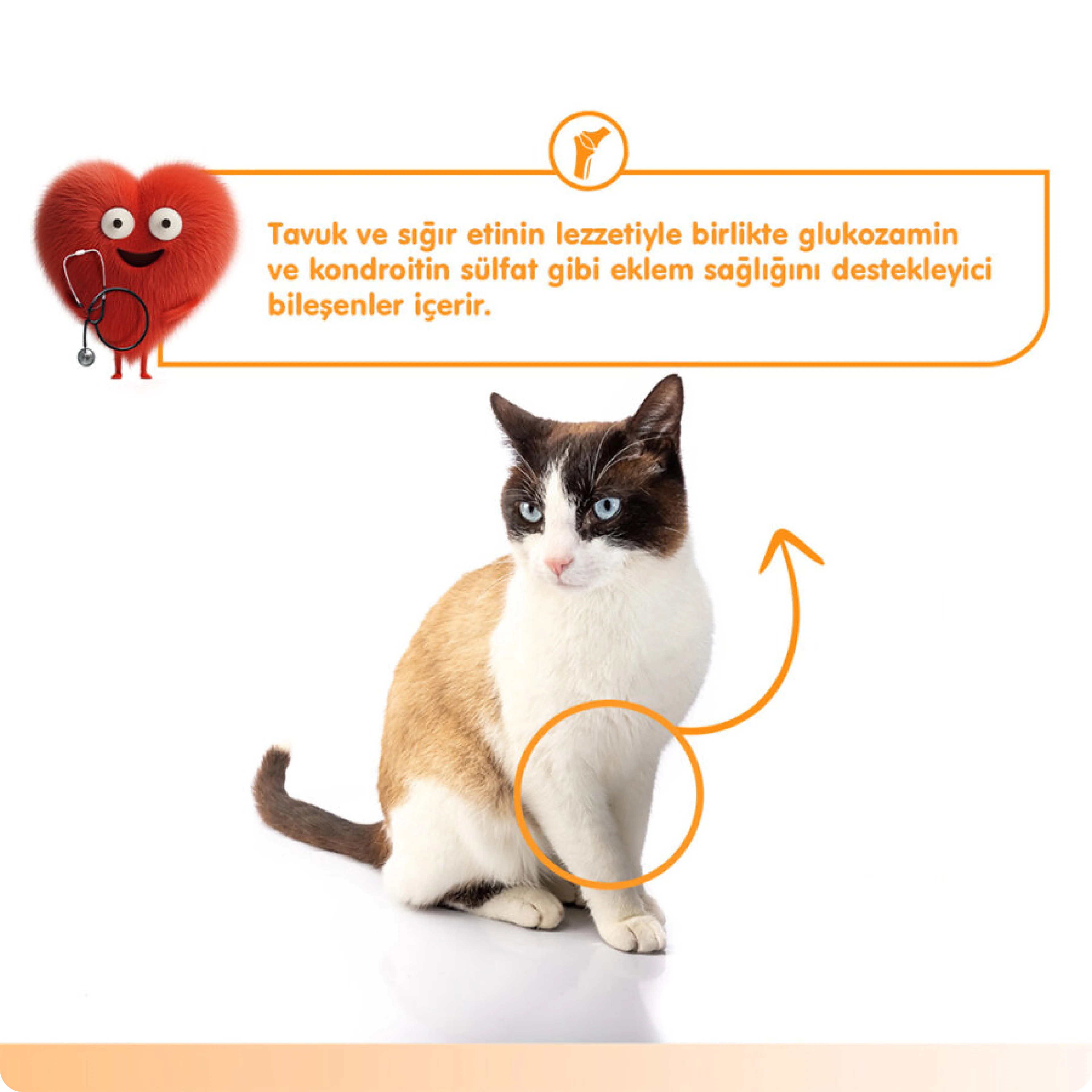 Wanpy Joint Support Sığır Etli ve Tavuklu Eklem Desteği Krema Kedi Ödül Maması 14 gr (5'li)