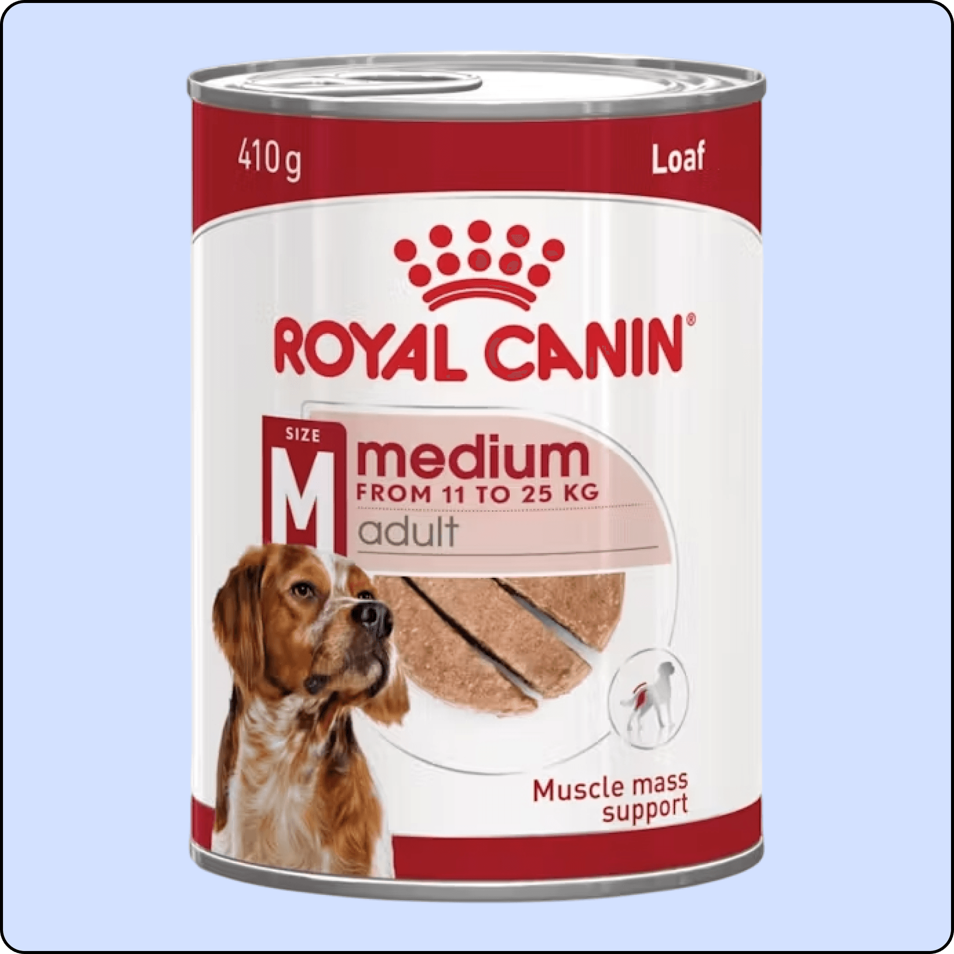 Royal Canin Loaf Mousse Orta Irk Ezme Yetişkin Köpek Konservesi 410 gr