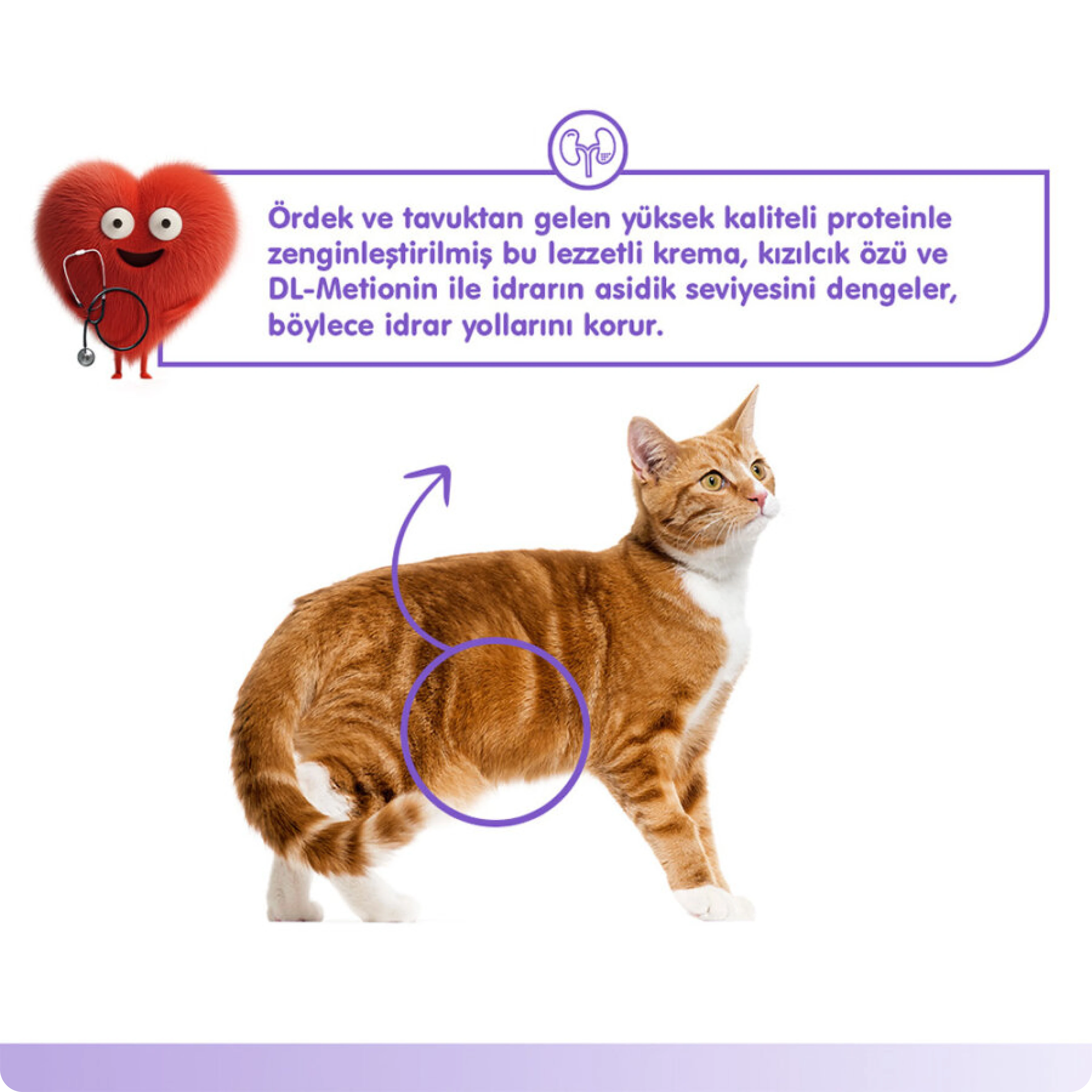 Wanpy Urinary Care Ördekli ve Tavuklu Üriner Sistem Desteği Krema Kedi Ödül Maması 14 gr (5'li)