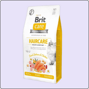 Brit