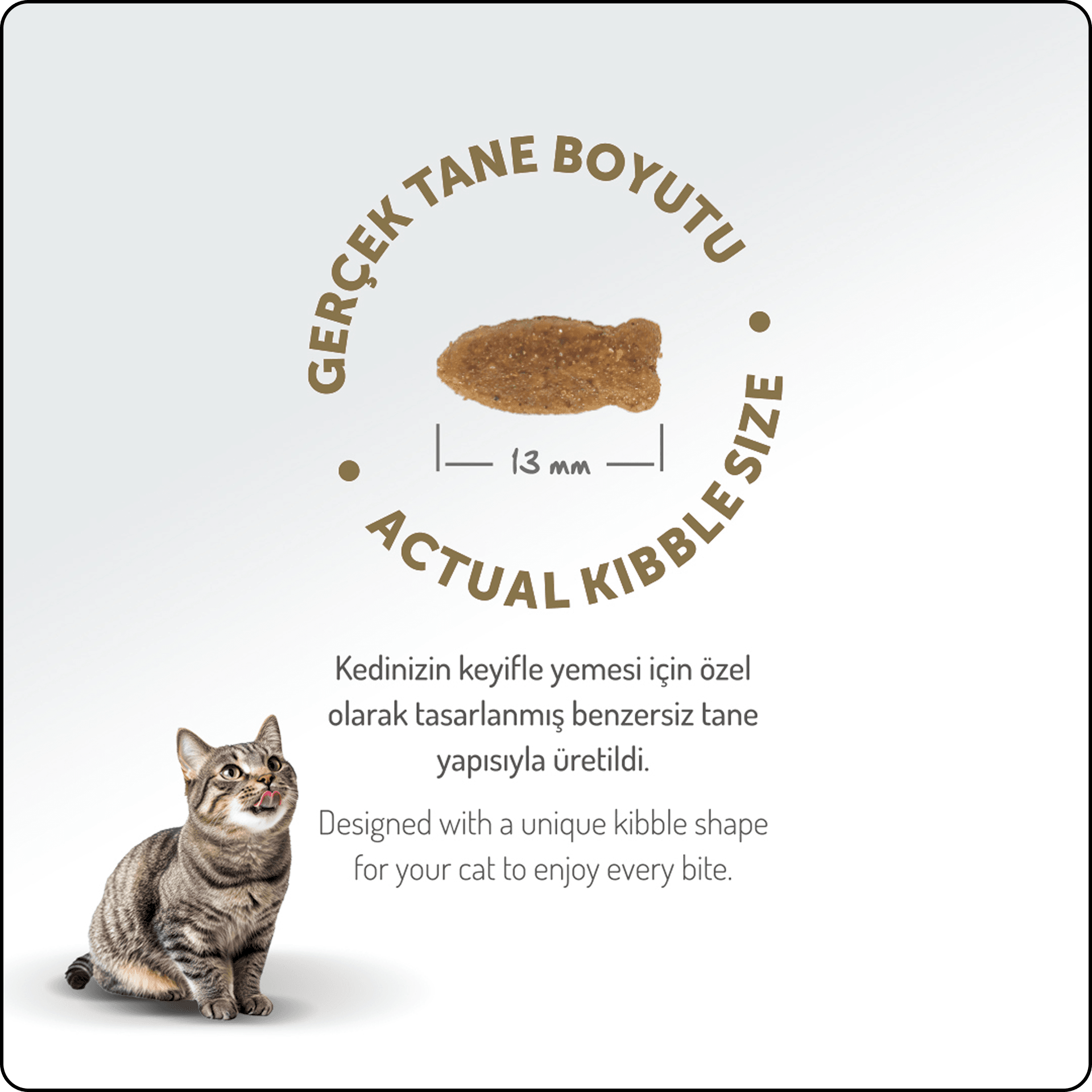 Felicia HypoAllergenic Somonlu Düşük Tahıllı Yetişkin Kedi Maması 12 kg